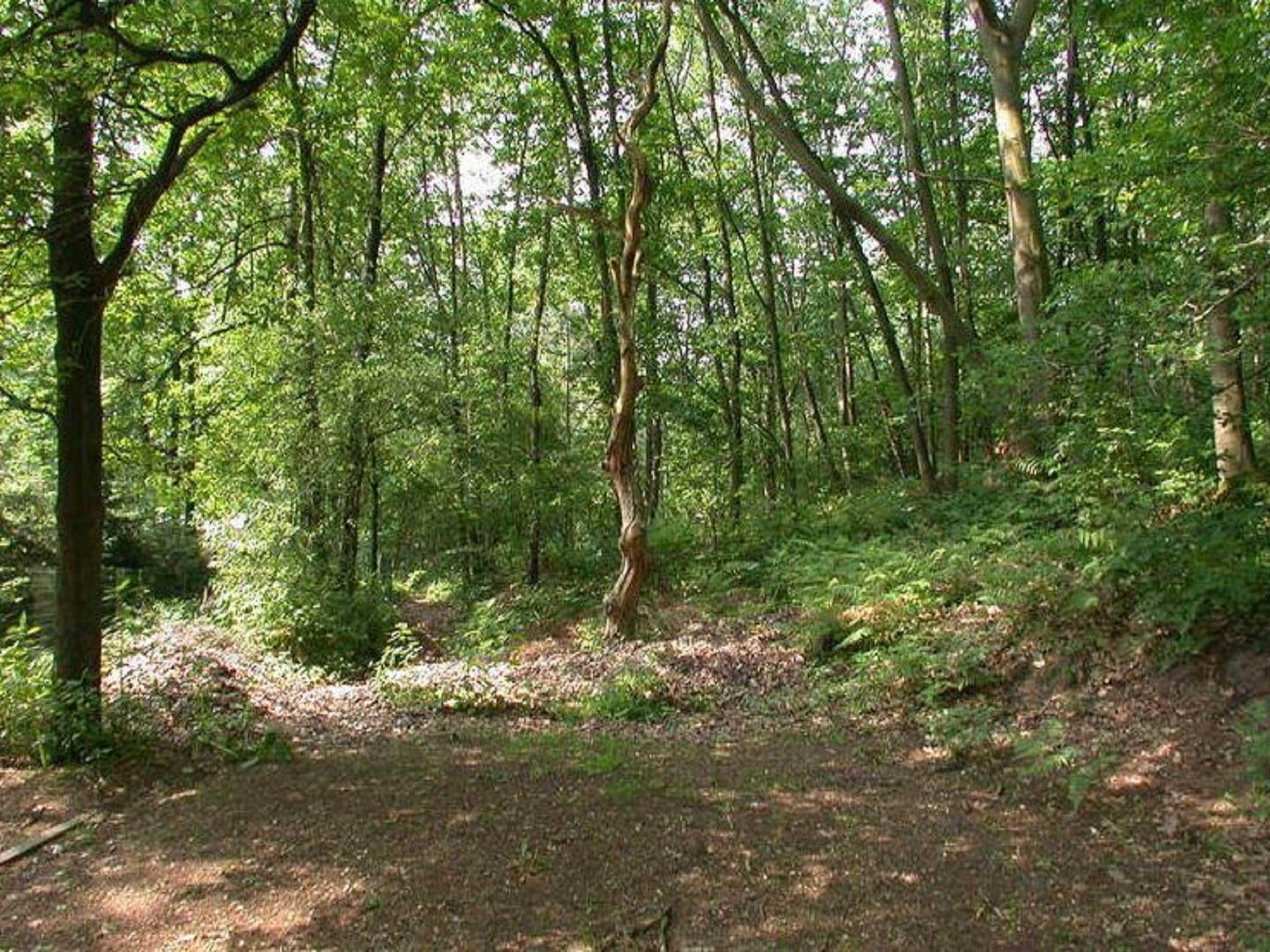 Ferienhaus Het Hertenbos