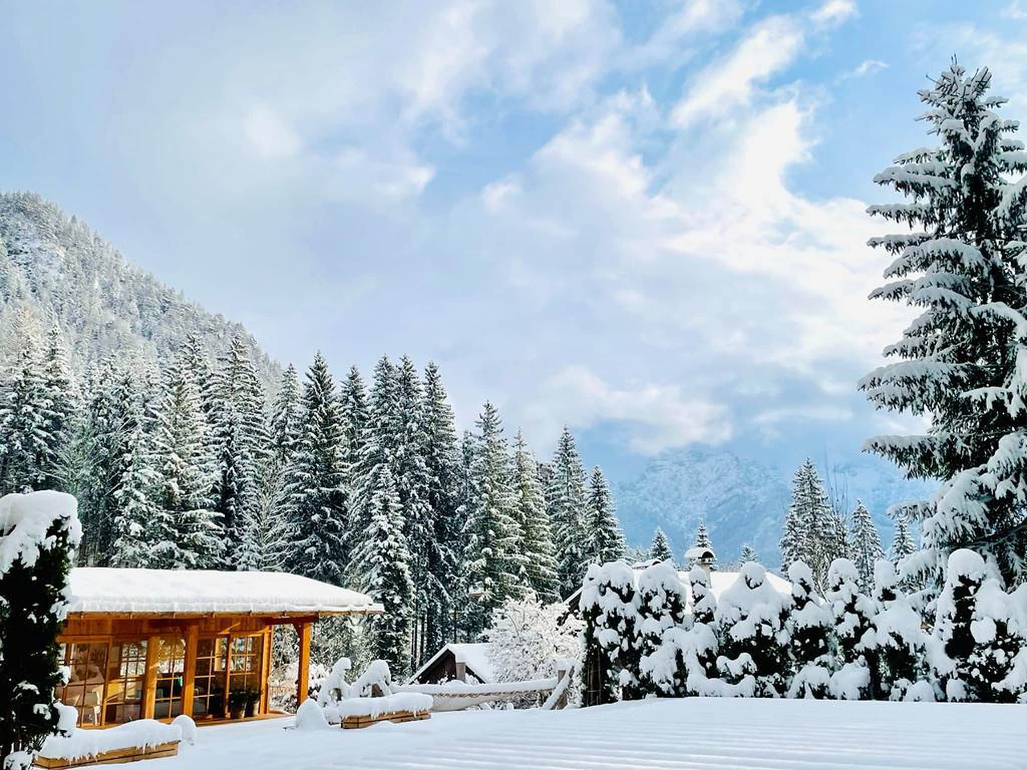 Ferienhaus Chalet Gamsglück in Waidring