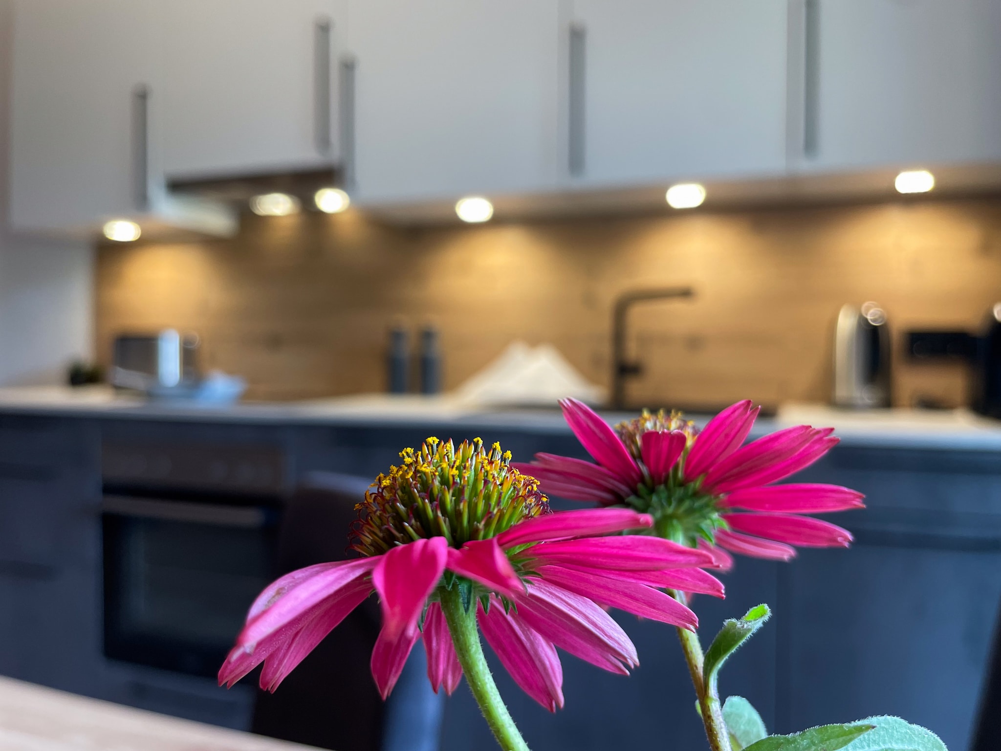 Ferienwohnung Panoramablick Kaunergrat
