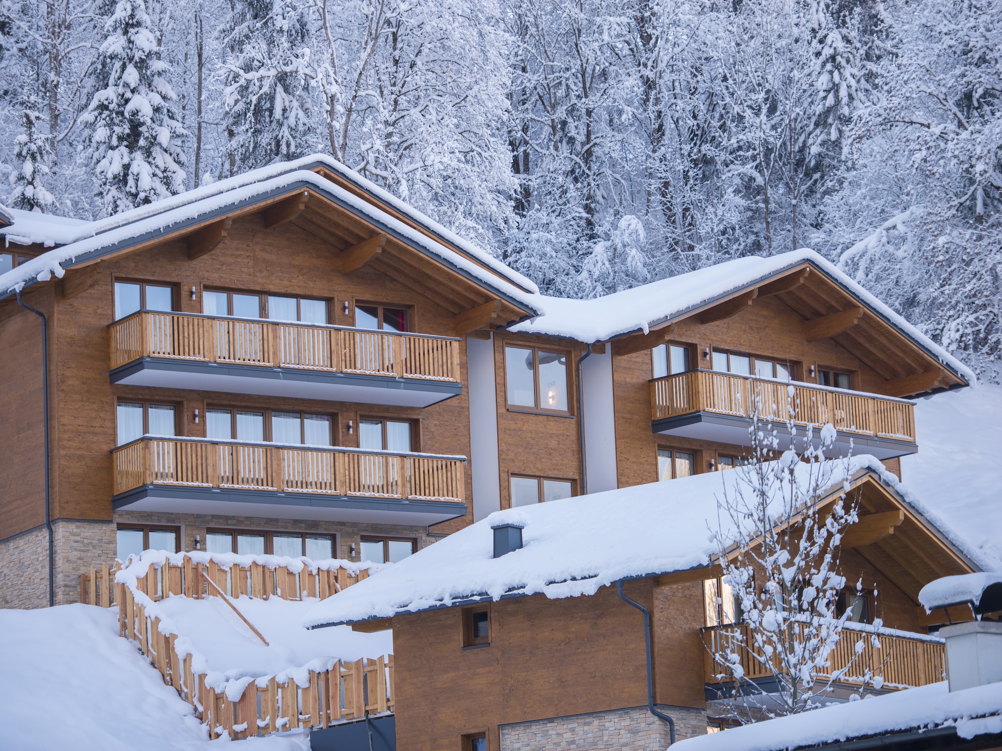 Ferienhaus Comfort Chalet