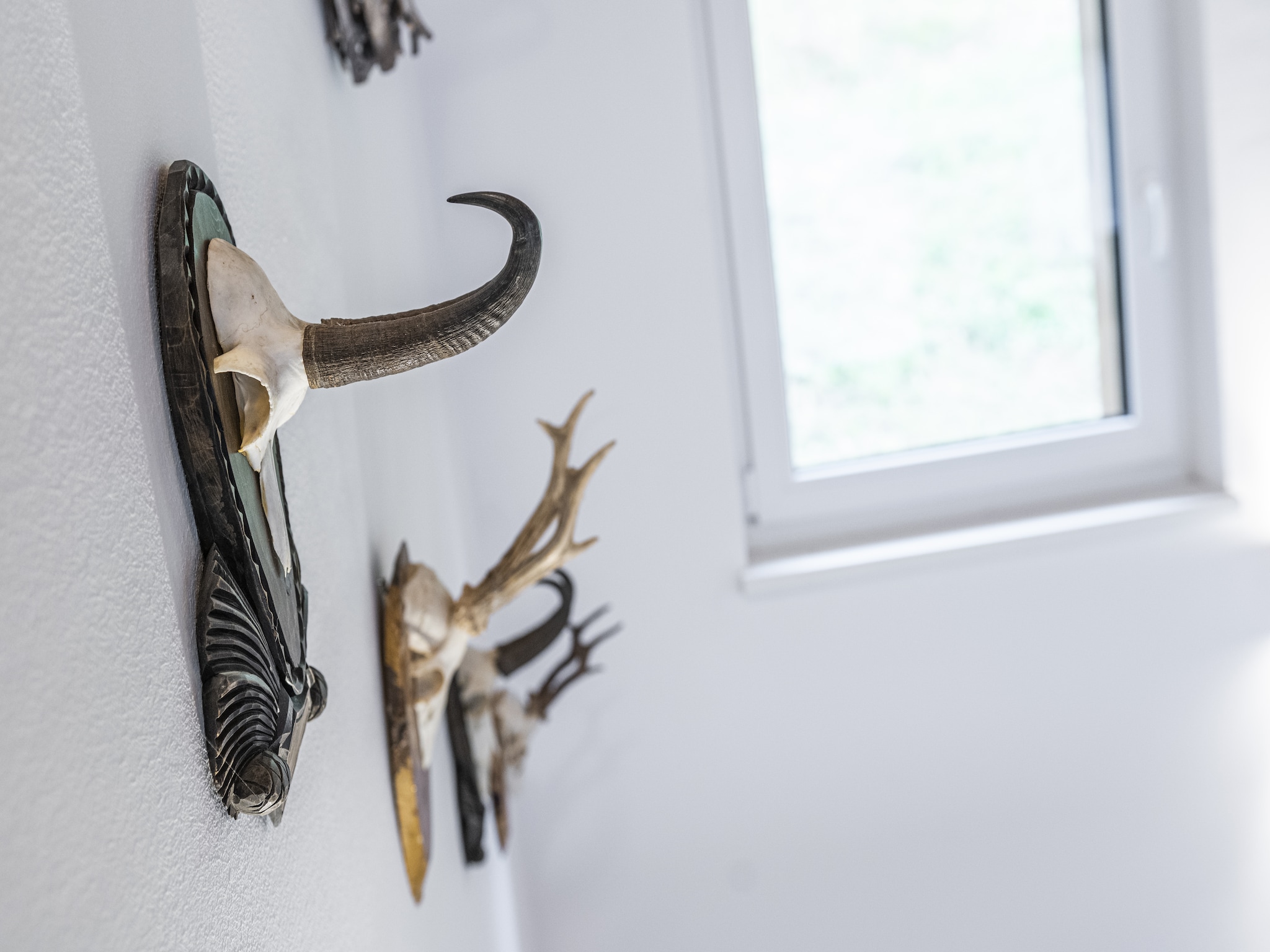Ferienhaus Premium Chalet