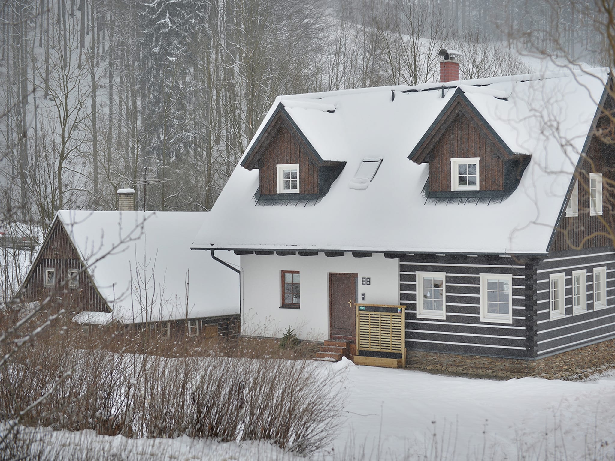 Ferienhaus Rokytnice KRL470
