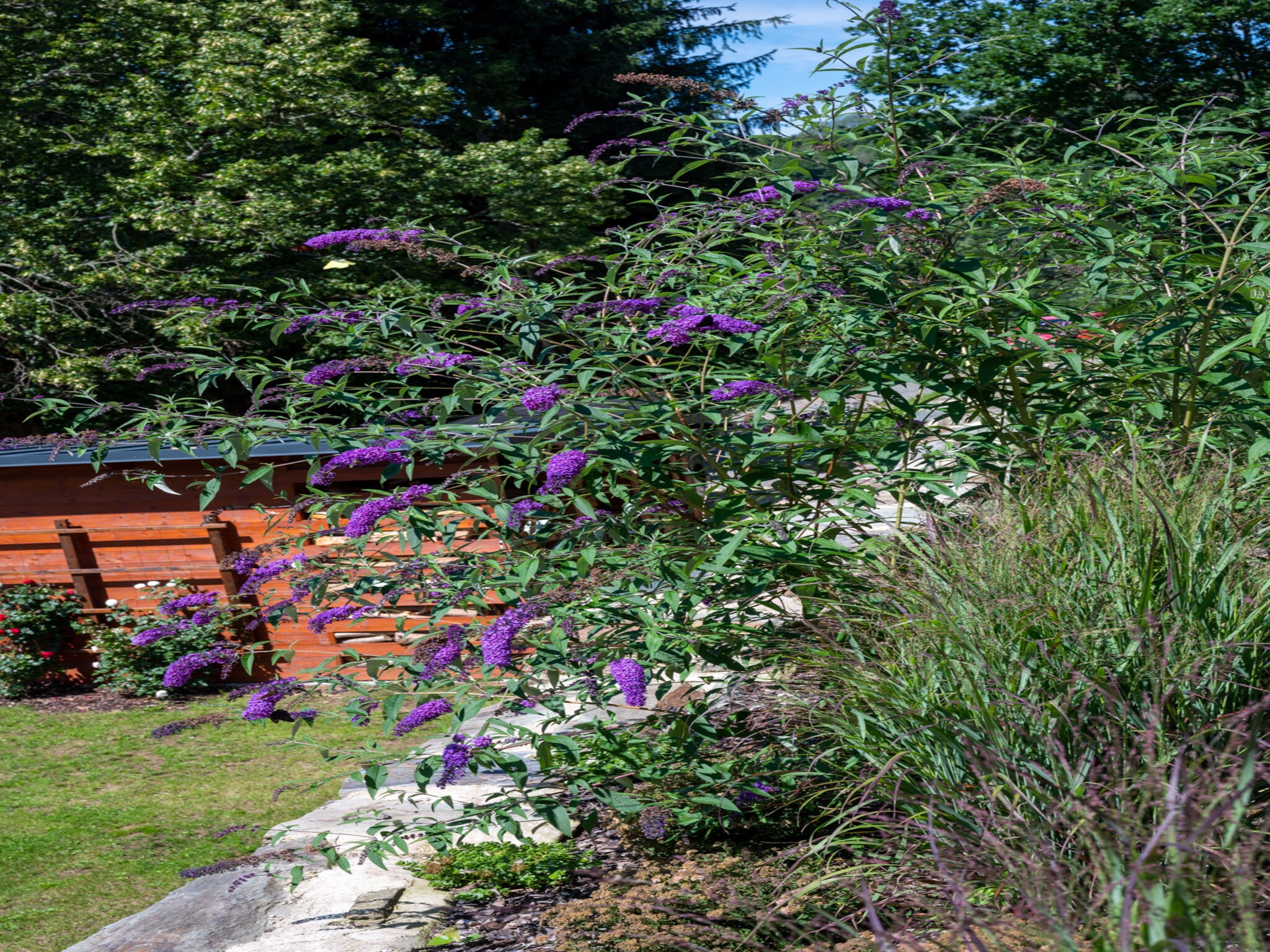 Casa de vacaciones Vysoke nad Jizerou KKH070
