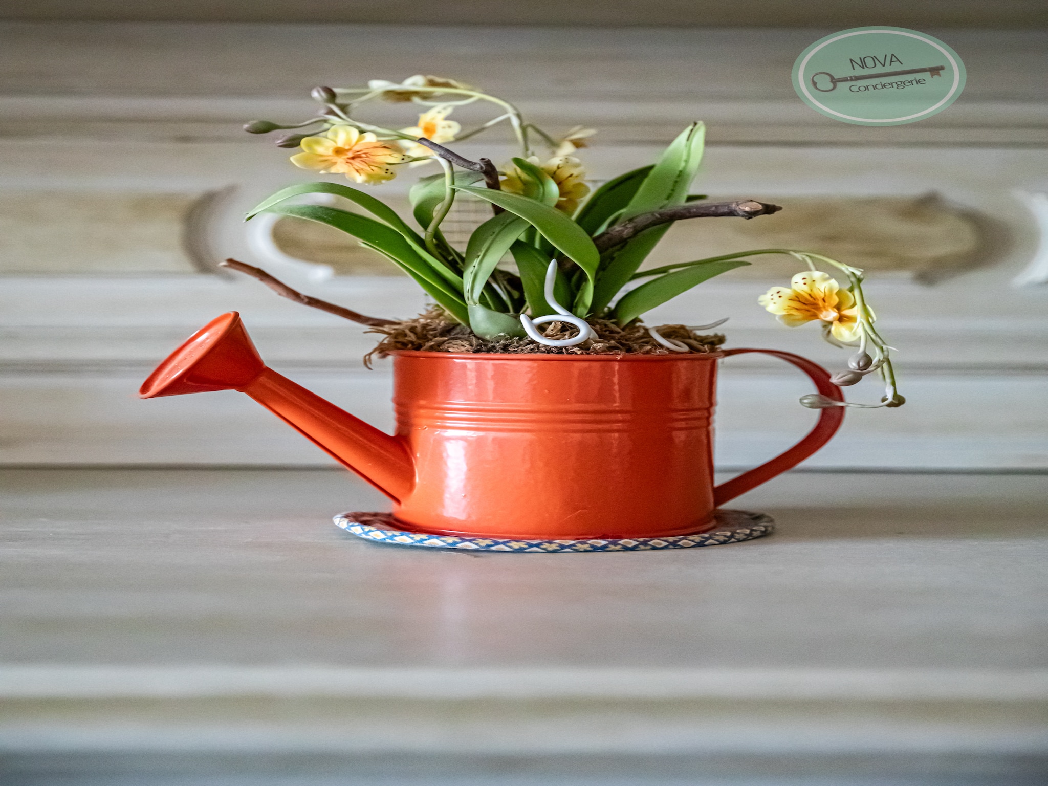 Ferienwohnung Vue sur l’horizon – Constellation E 15