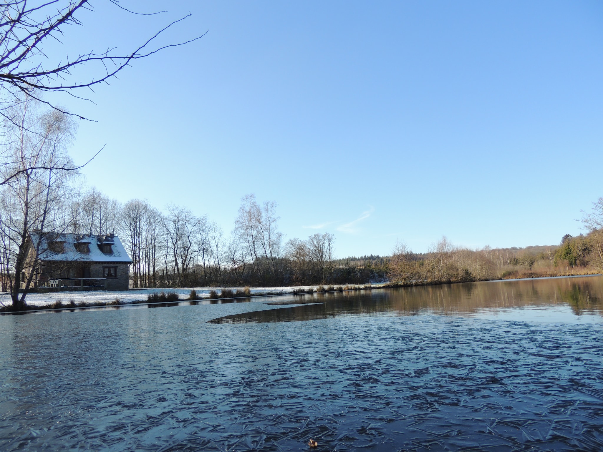   Domaine du Pichoux
