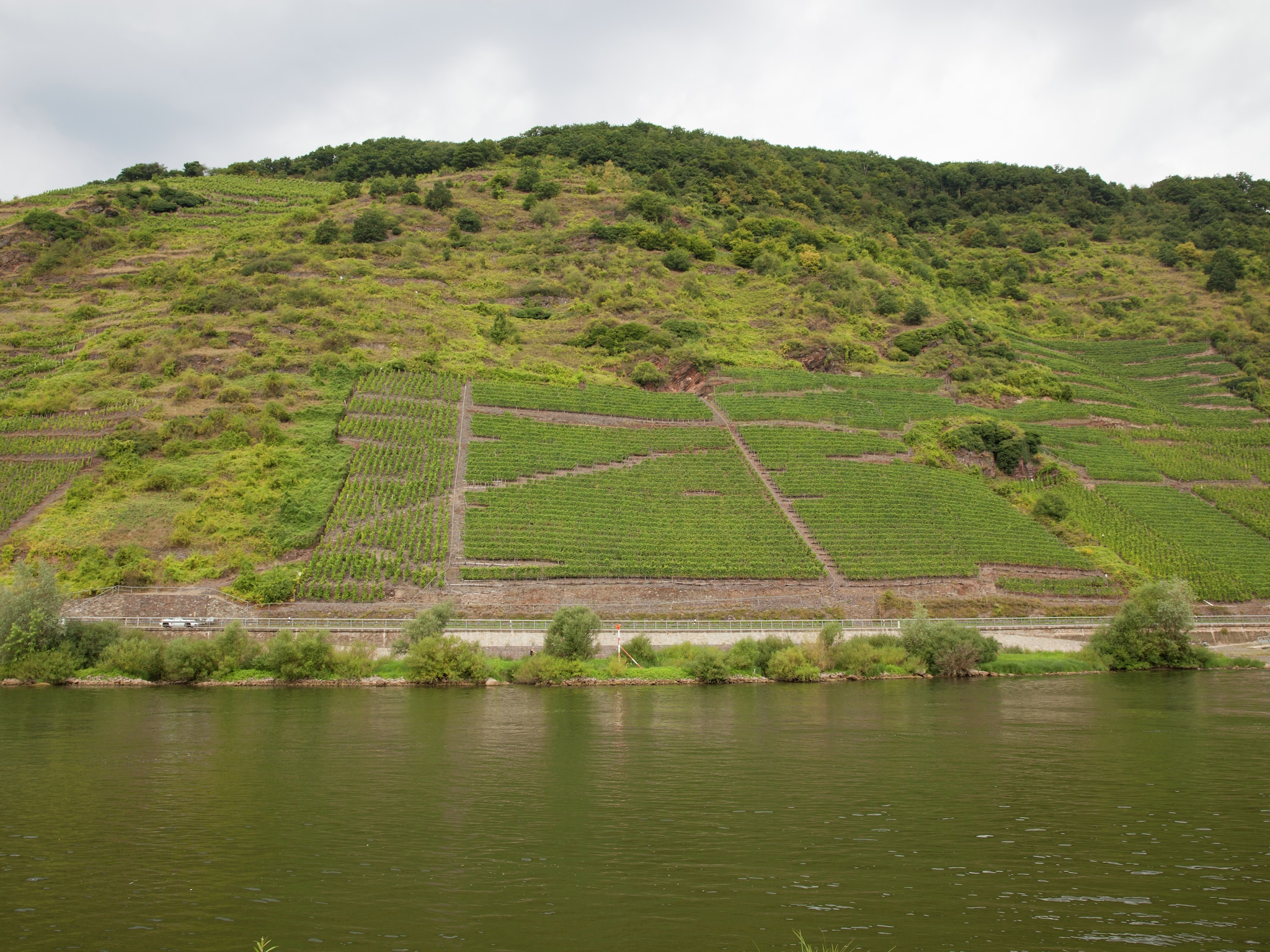 Apartment Weingut Hausmann