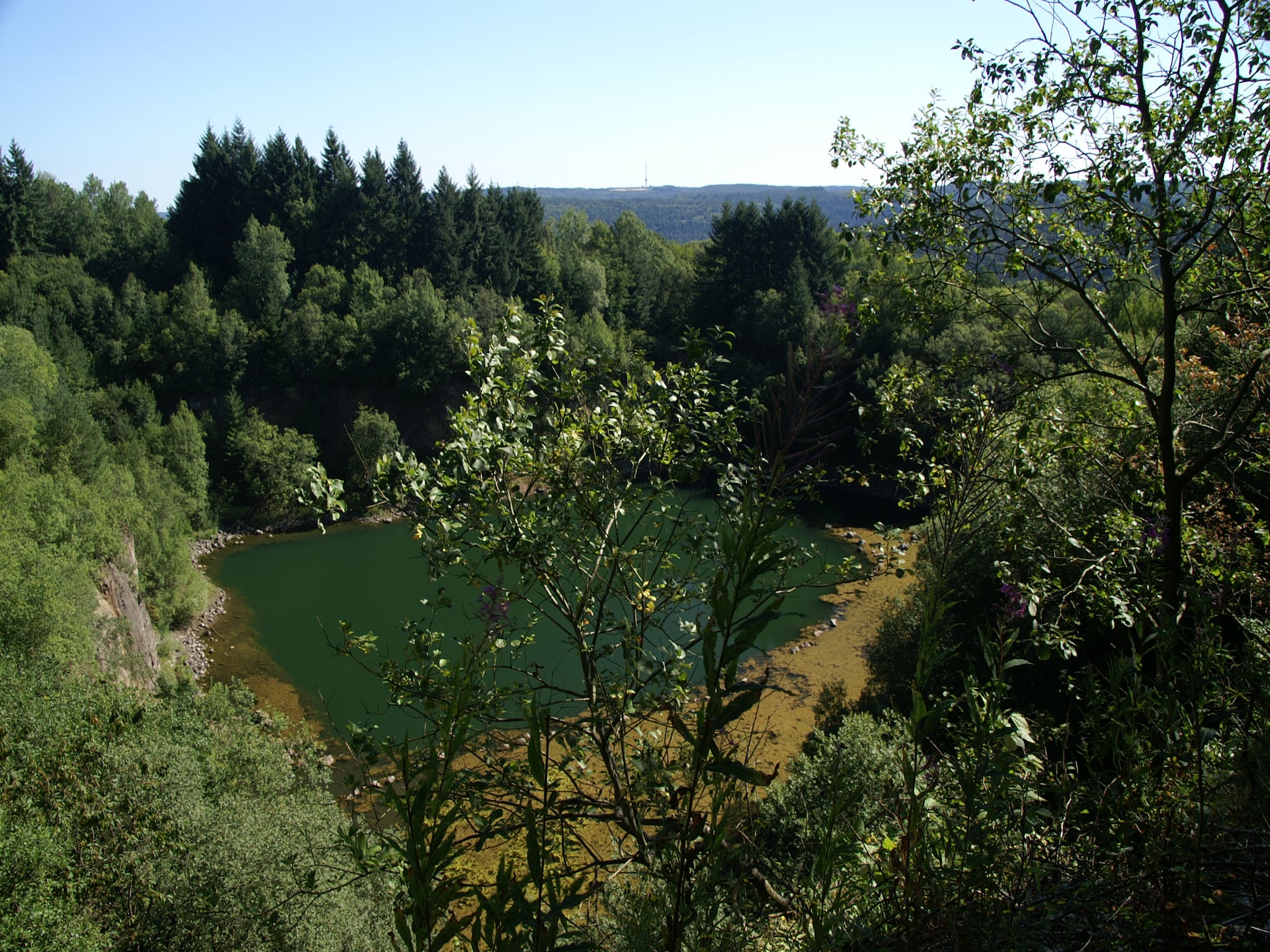   Feriendorf Waldbrunn 1