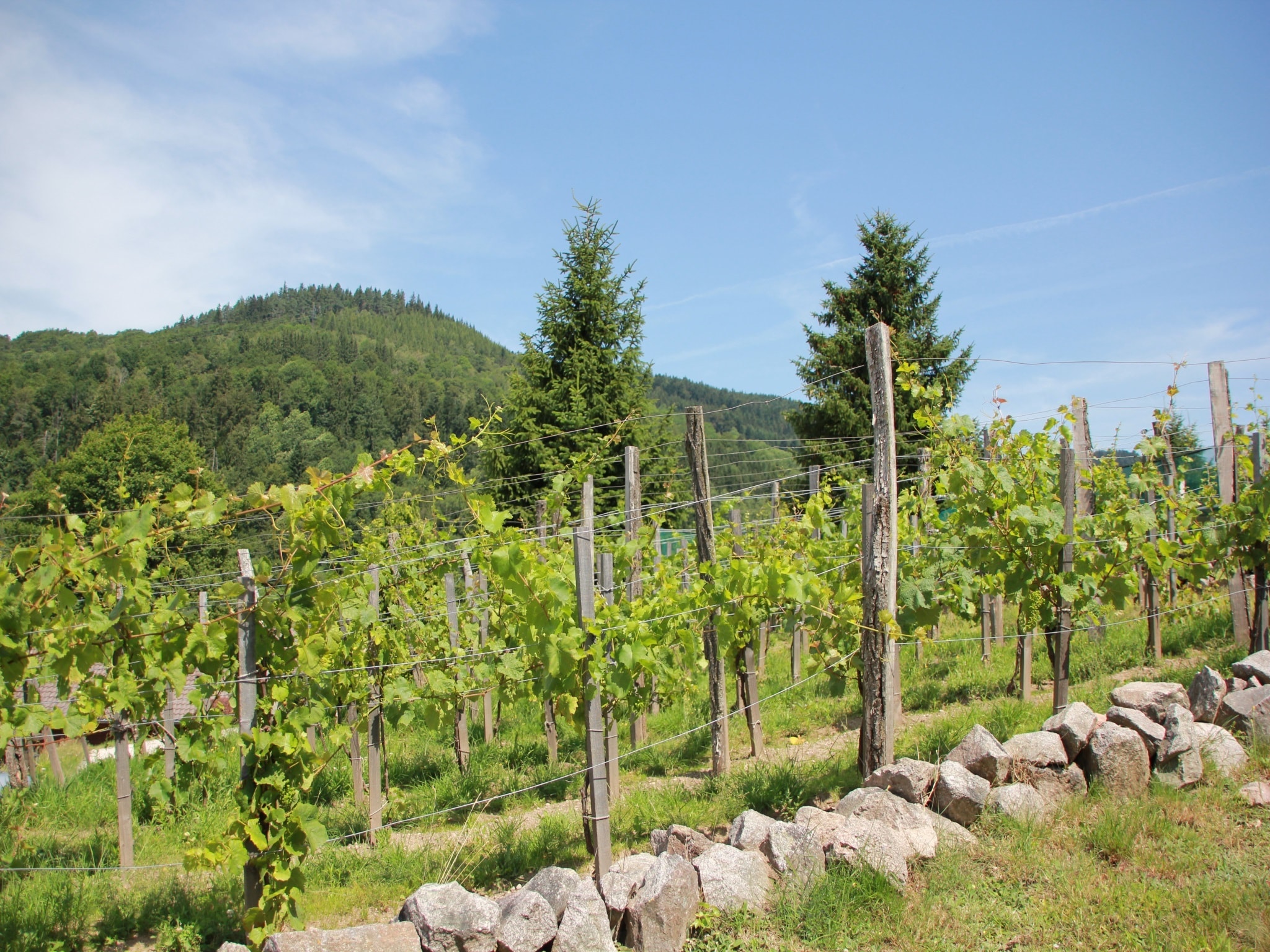 Feriebolig Les Chalets des Ayes 10