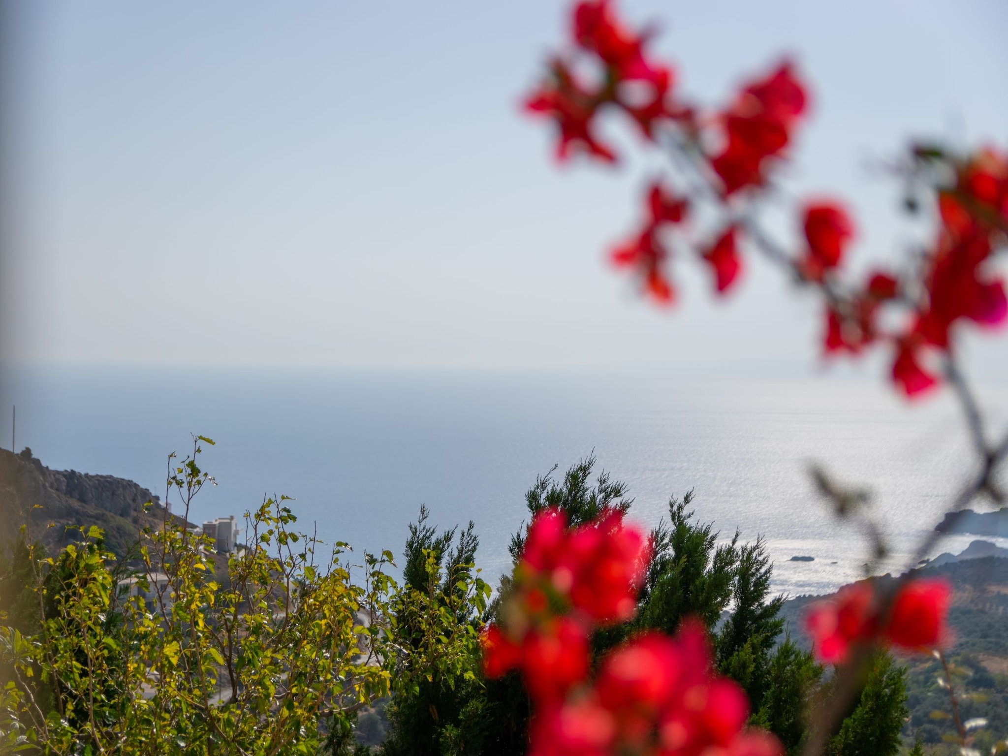 Casa di vacanze Lodovico 3