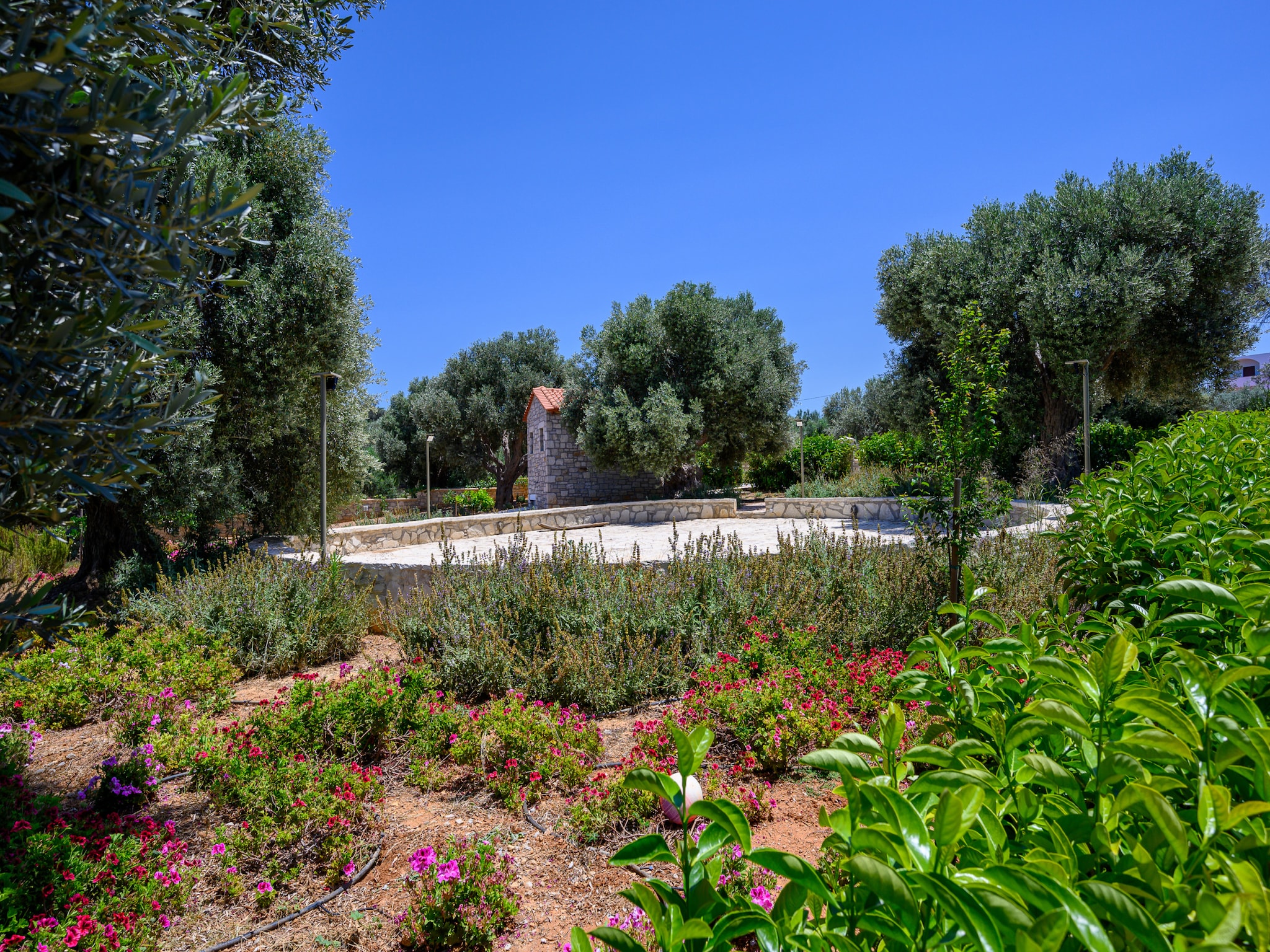 Casa di vacanze Rosemary
