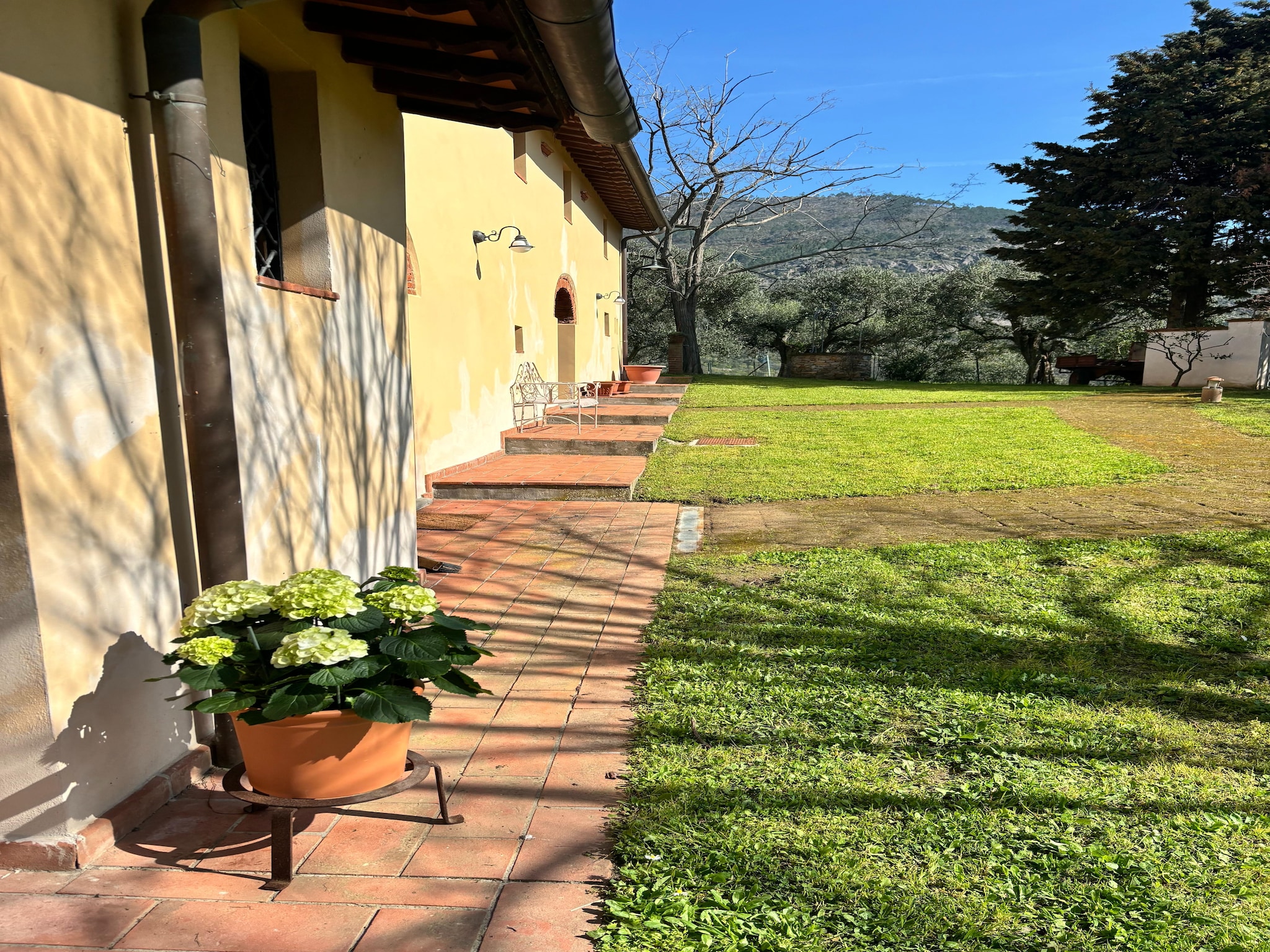   Tenuta del Serra