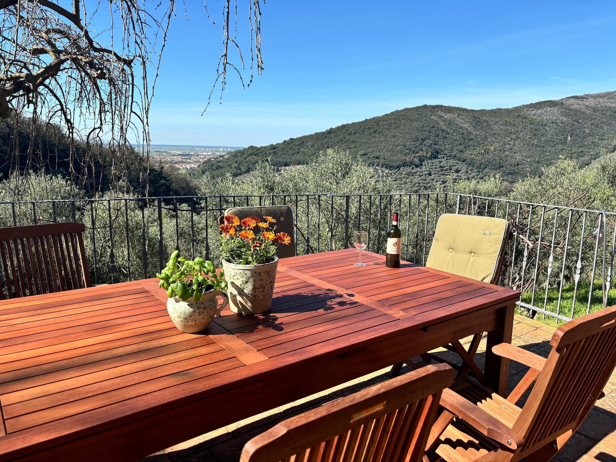   Tenuta del Serra