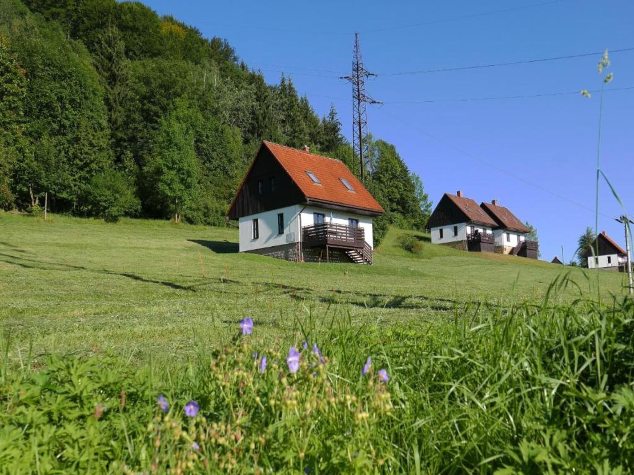 Ferienhaus Green Valley Park 1