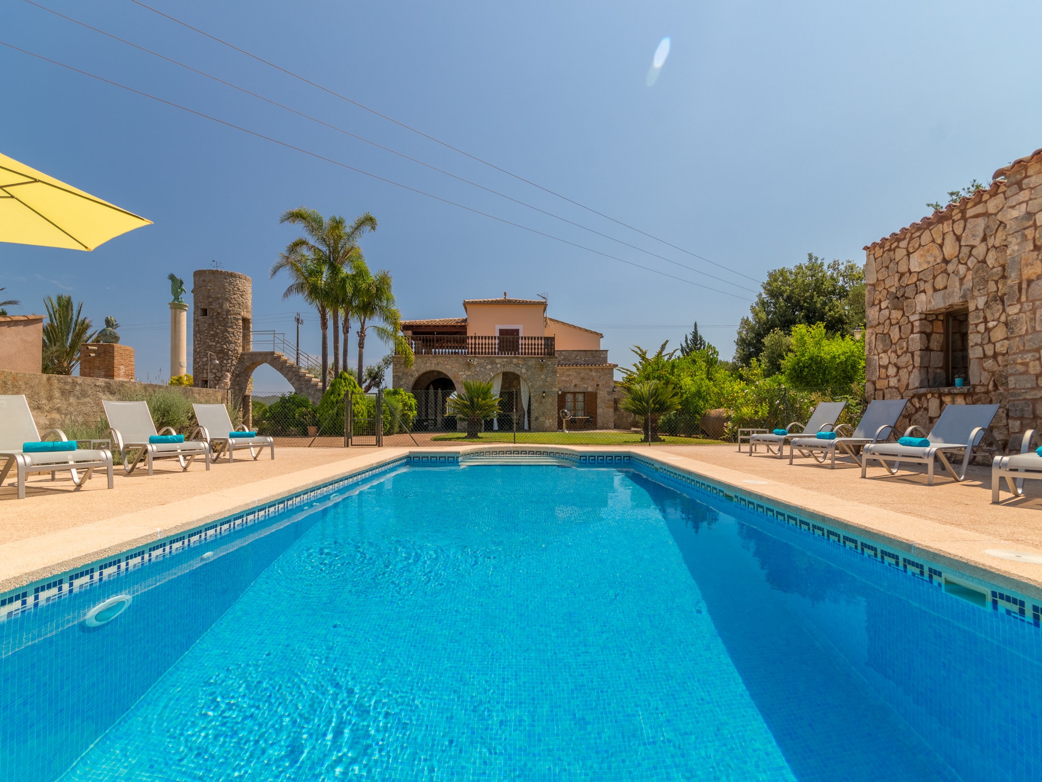   Buitre negro, Finca 5StarsHome Mallorca