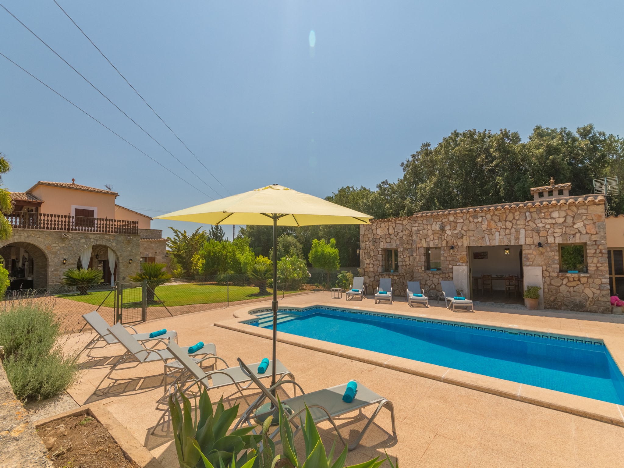   Buitre negro, Finca 5StarsHome Mallorca