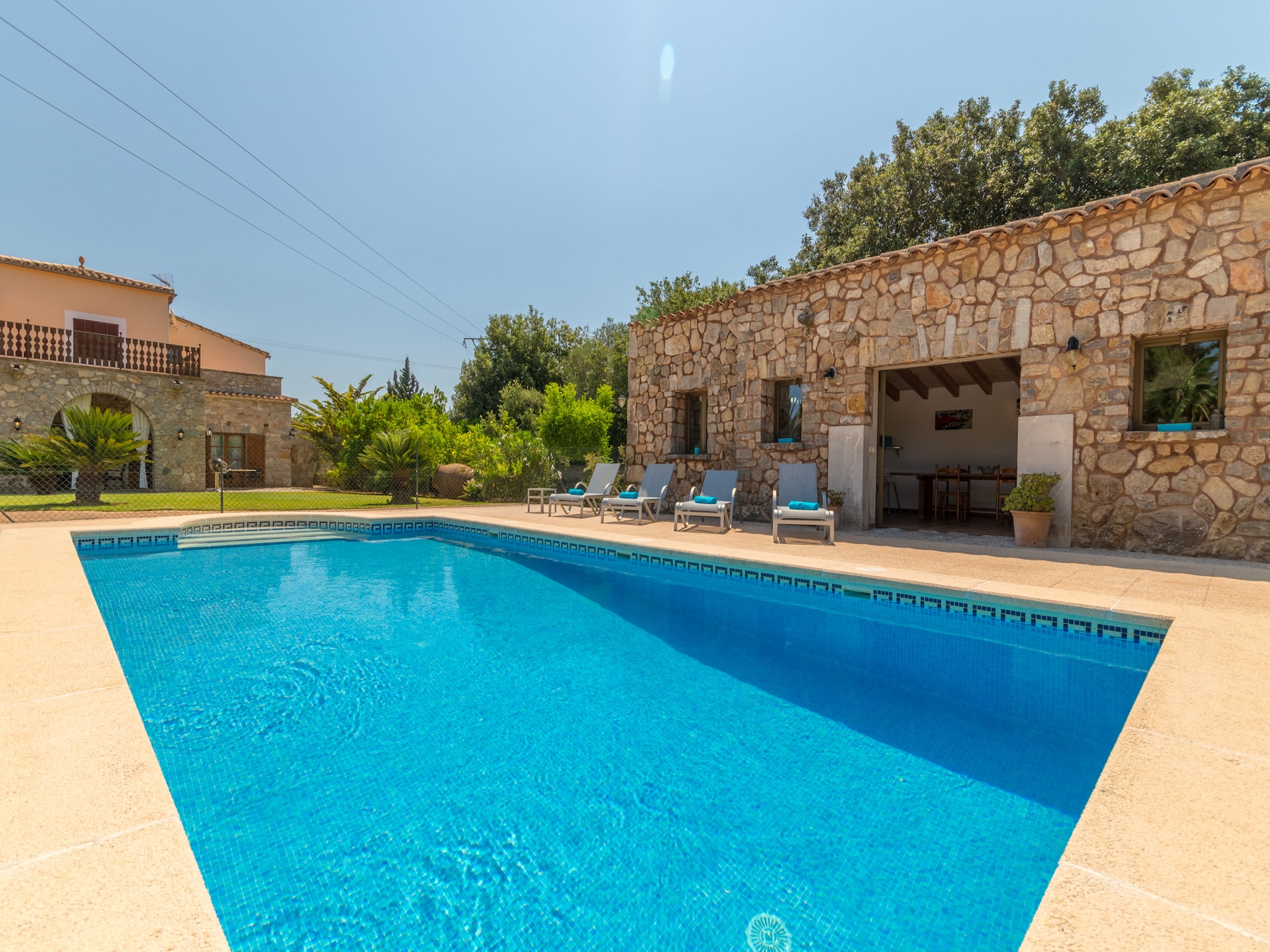  Buitre negro, Finca 5StarsHome Mallorca