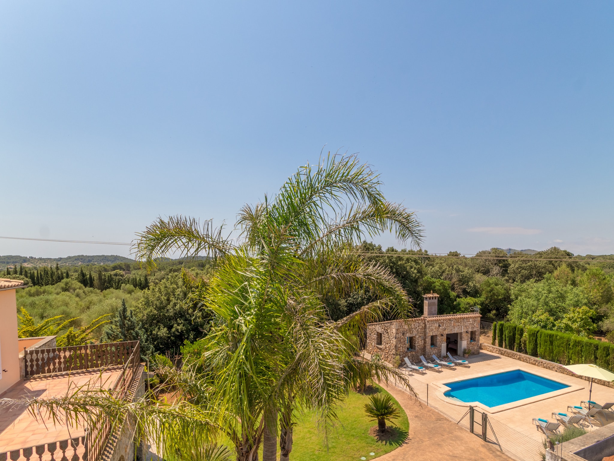   Buitre negro, Finca 5StarsHome Mallorca