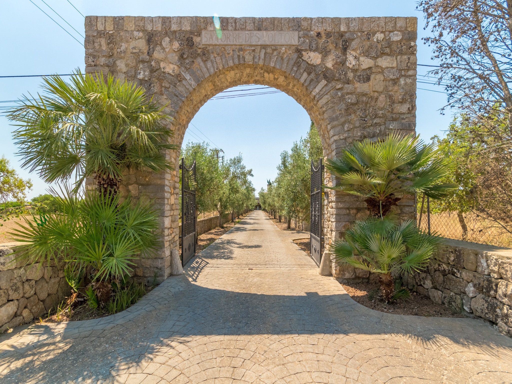   Buitre negro, Finca 5StarsHome Mallorca