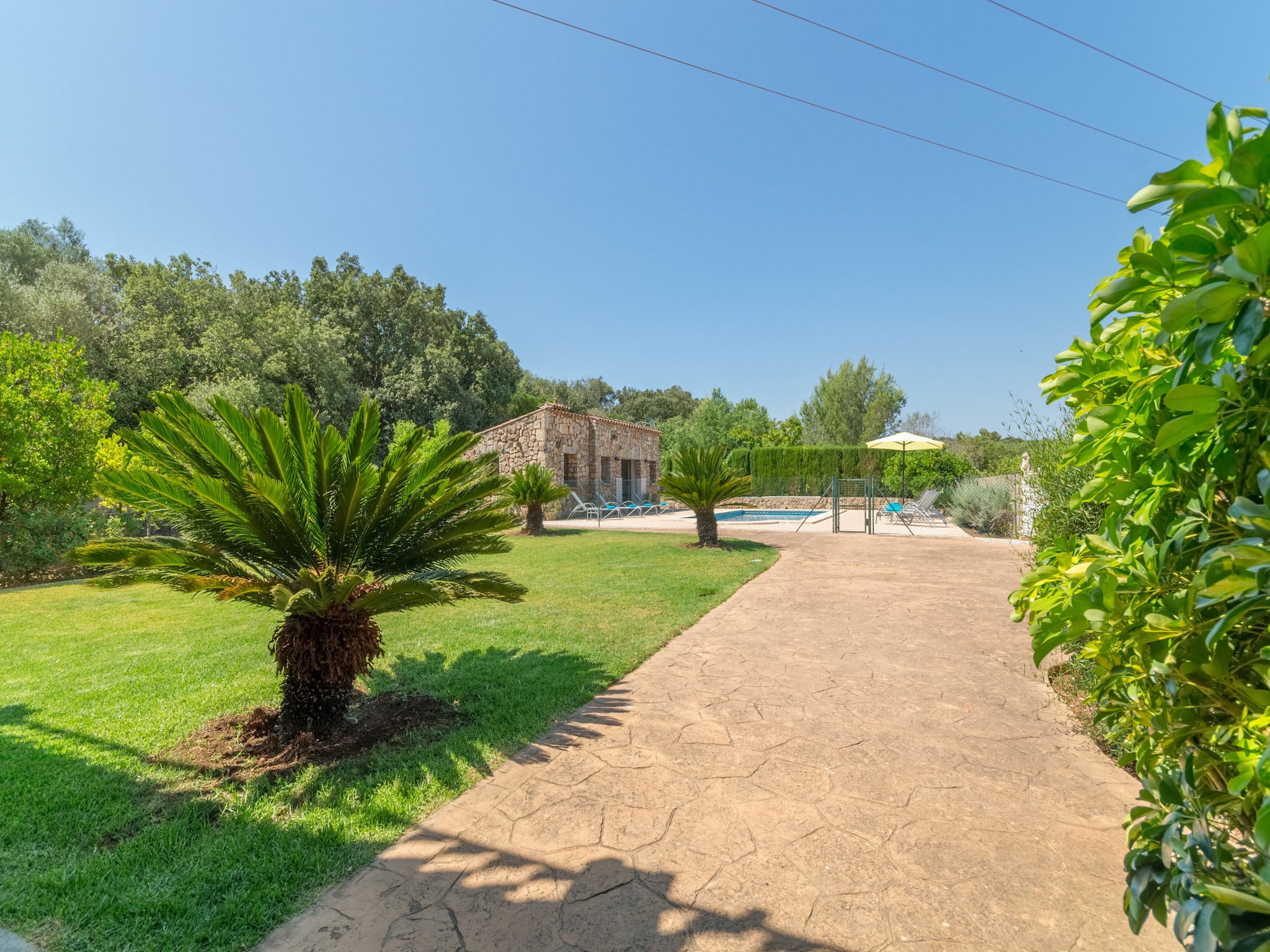   Buitre negro, Finca 5StarsHome Mallorca