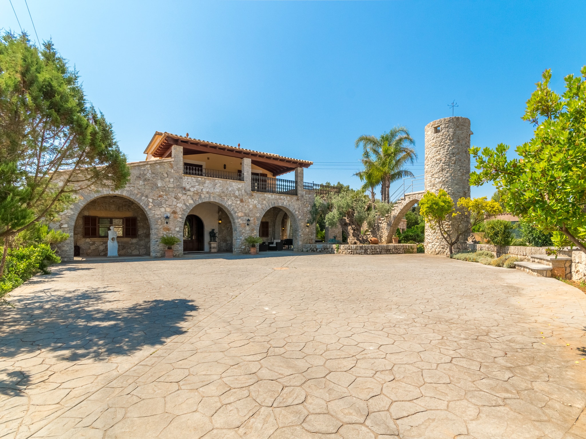   Buitre negro, Finca 5StarsHome Mallorca