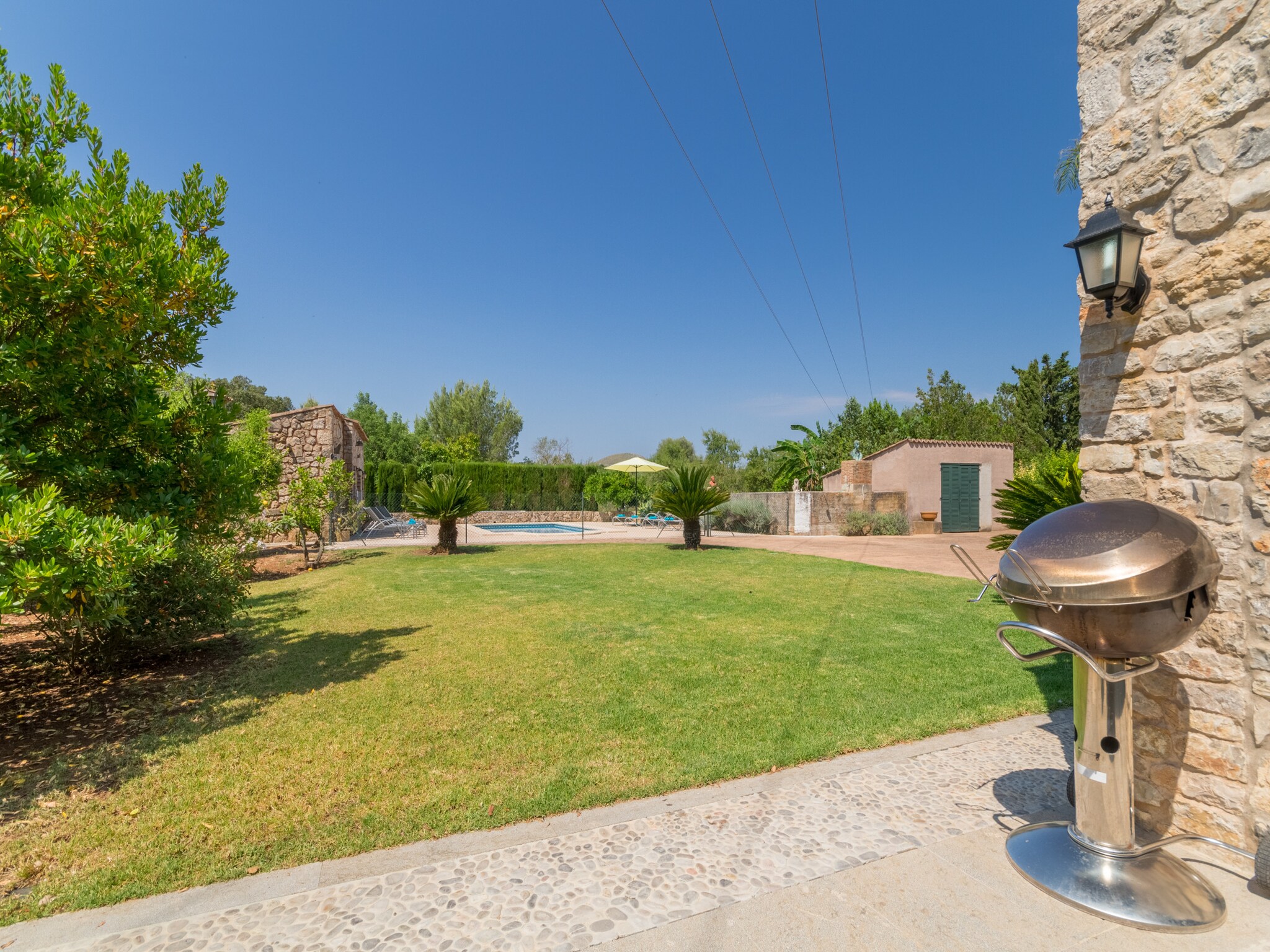   Buitre negro, Finca 5StarsHome Mallorca