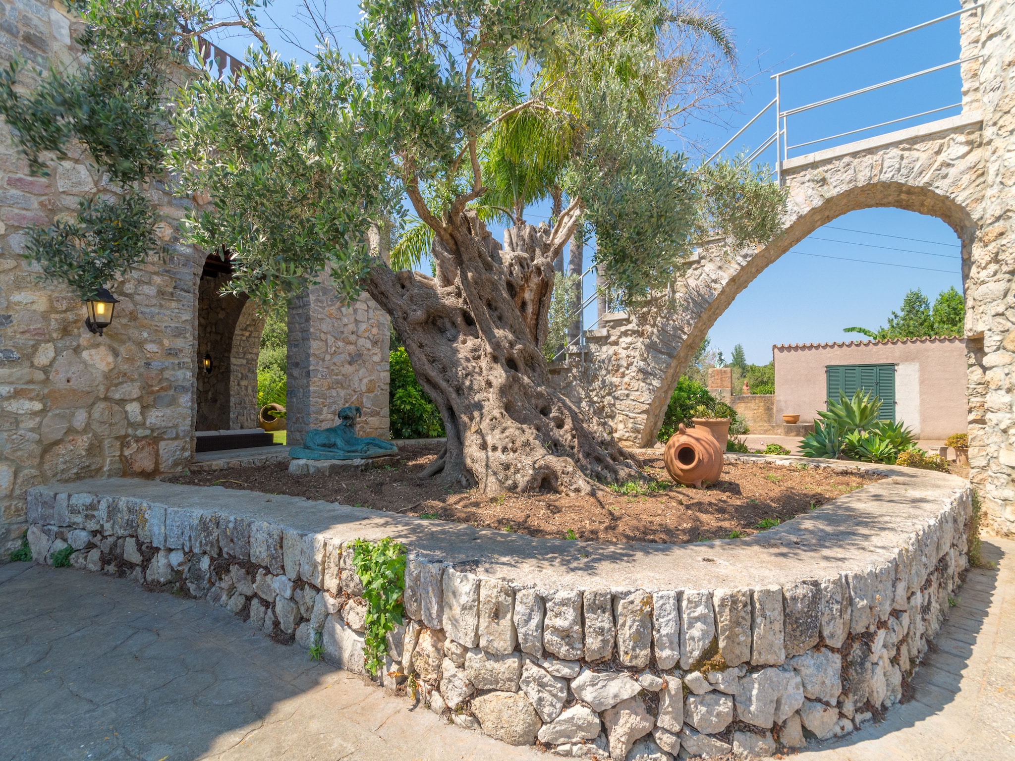   Buitre negro, Finca 5StarsHome Mallorca