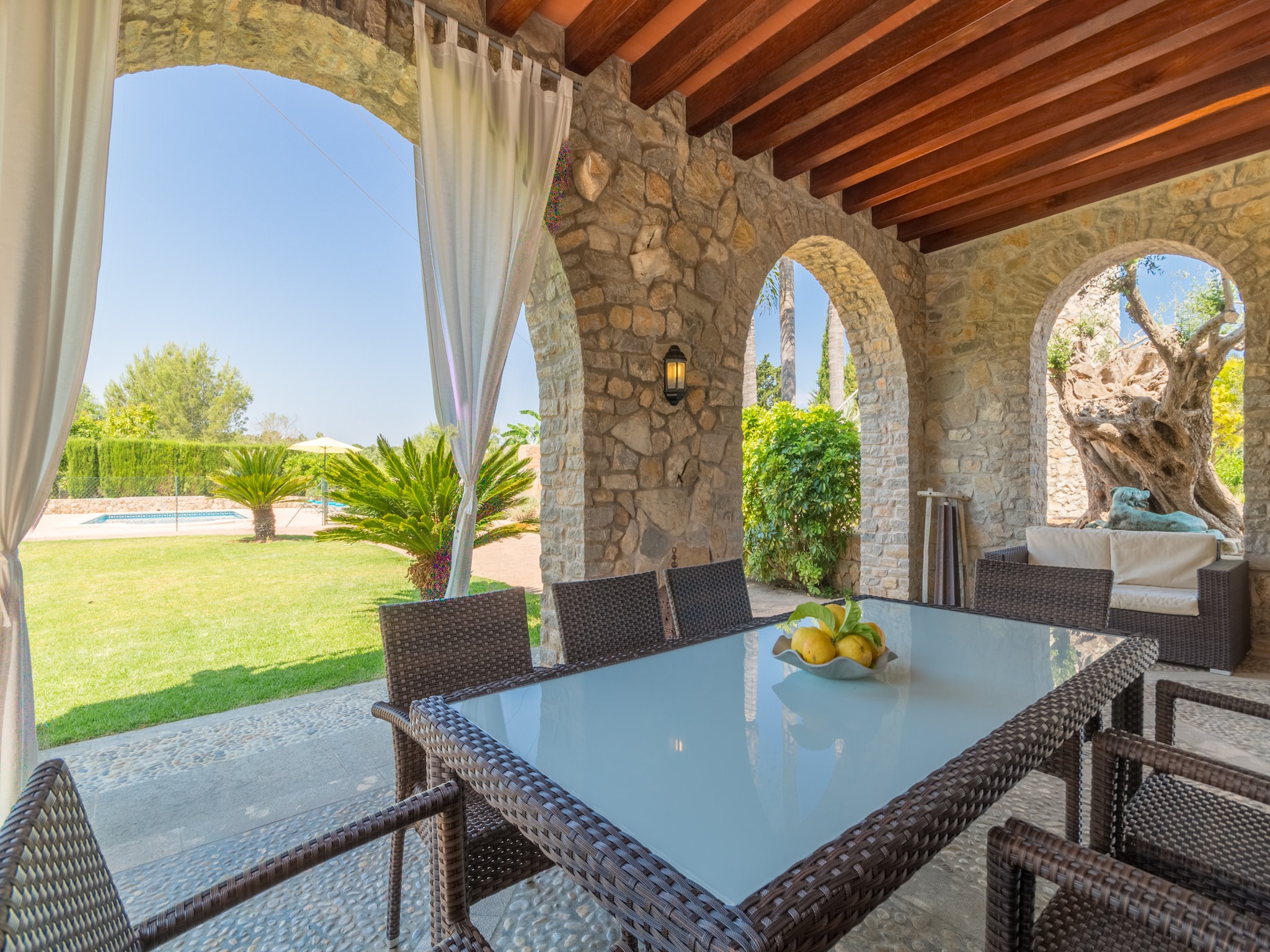   Buitre negro, Finca 5StarsHome Mallorca