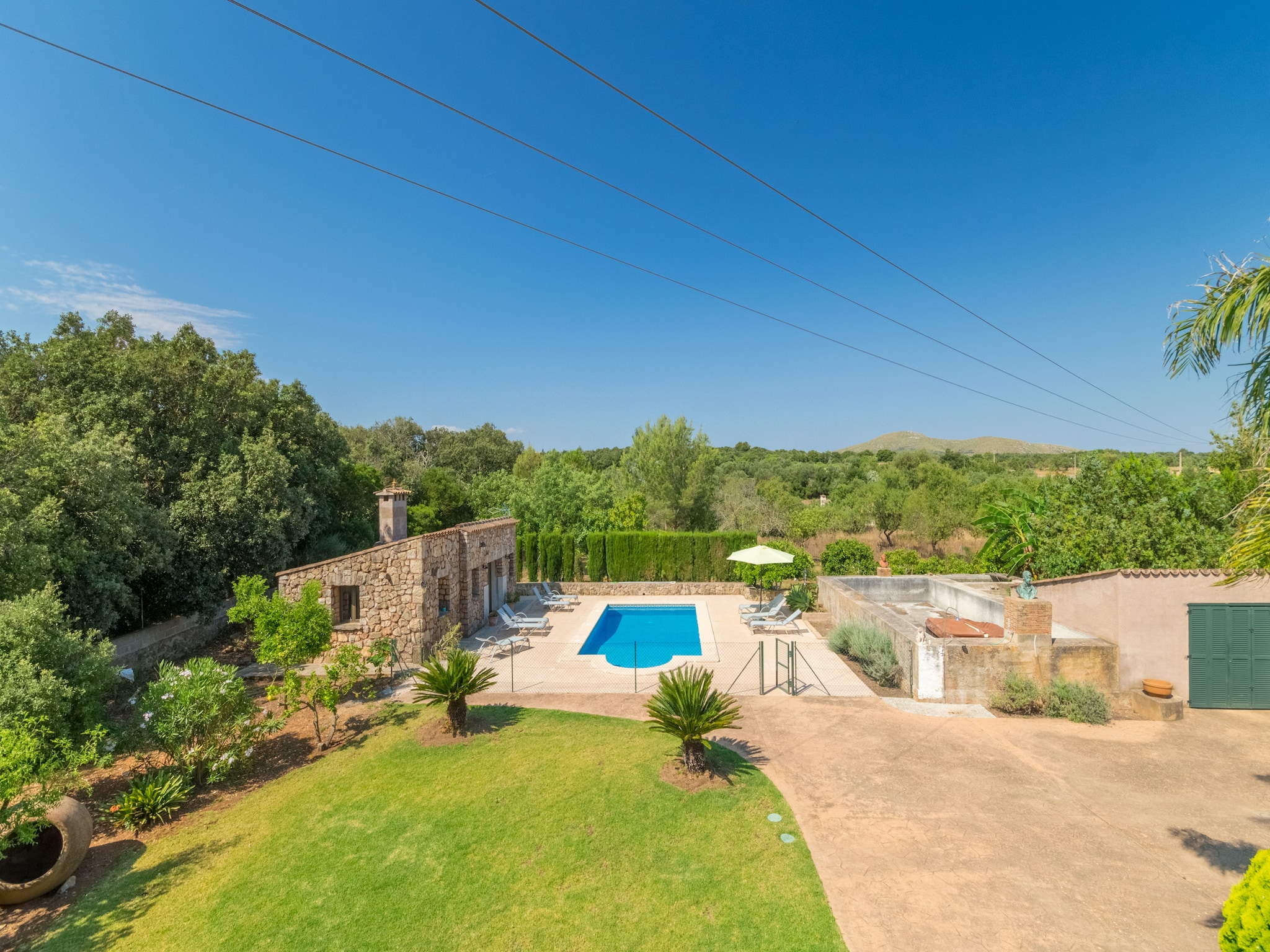   Buitre negro, Finca 5StarsHome Mallorca