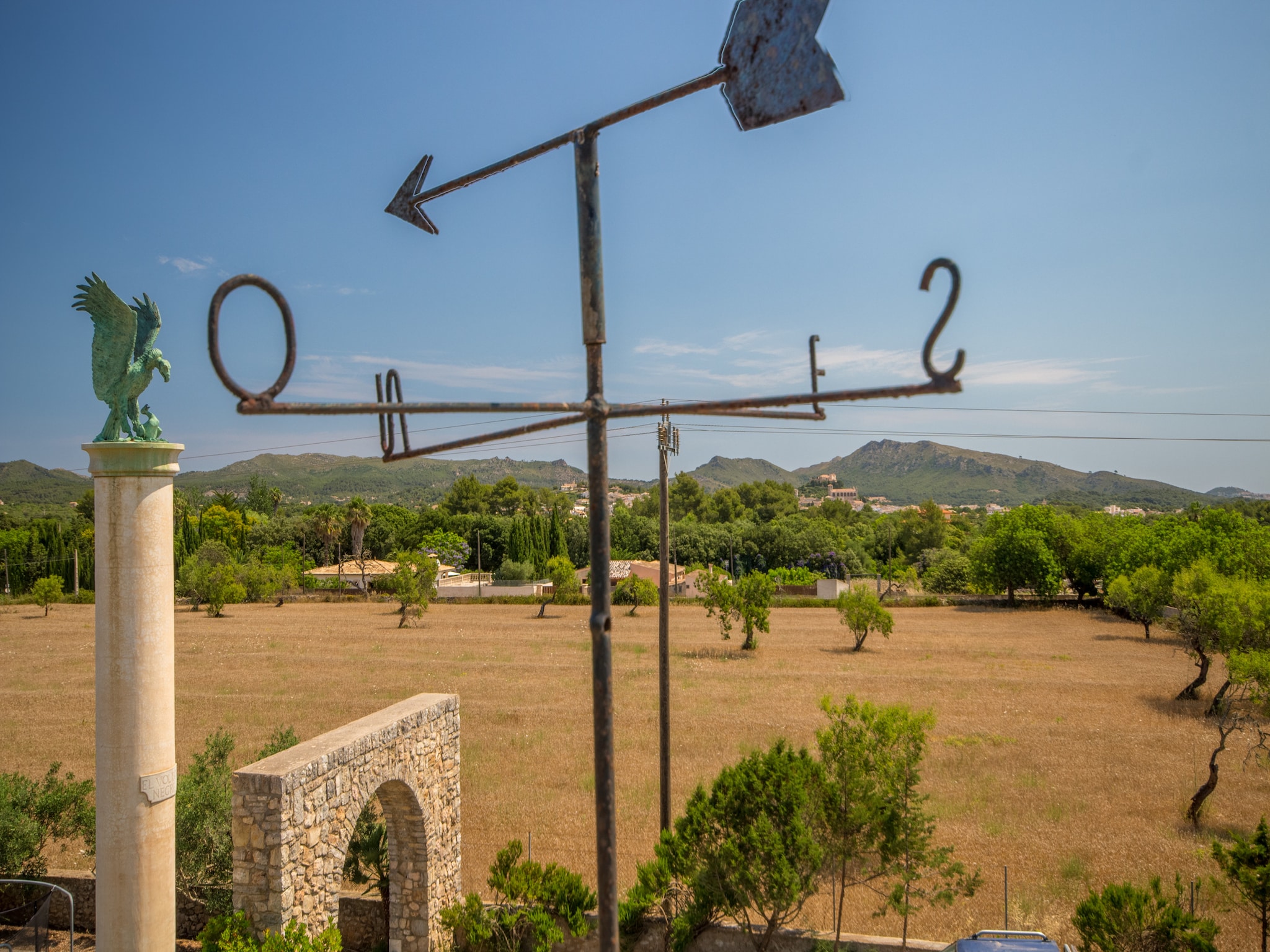   Buitre negro, Finca 5StarsHome Mallorca