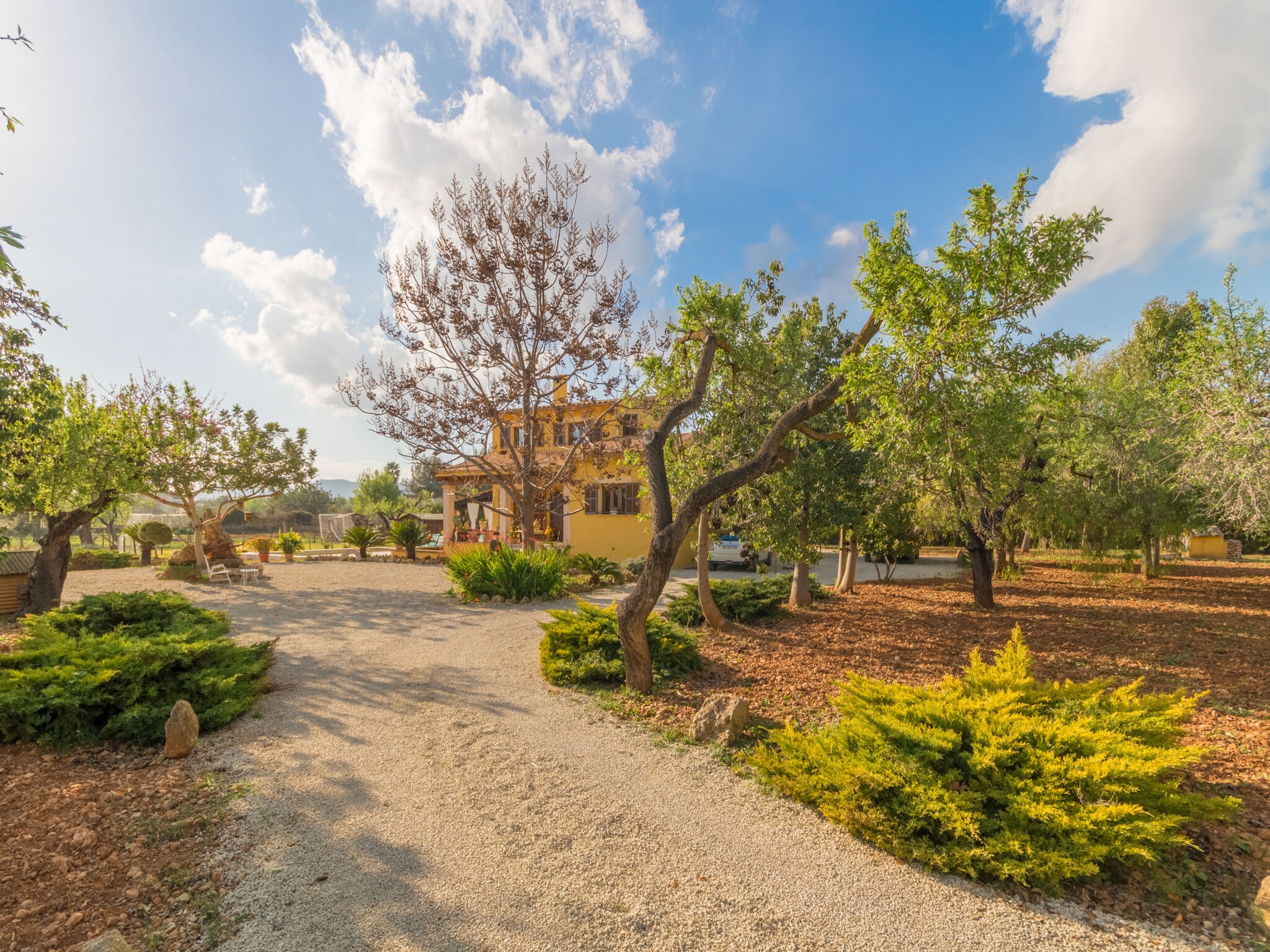   Sa Tanqueta Rustica, Finca 5StarsHome Mallorca