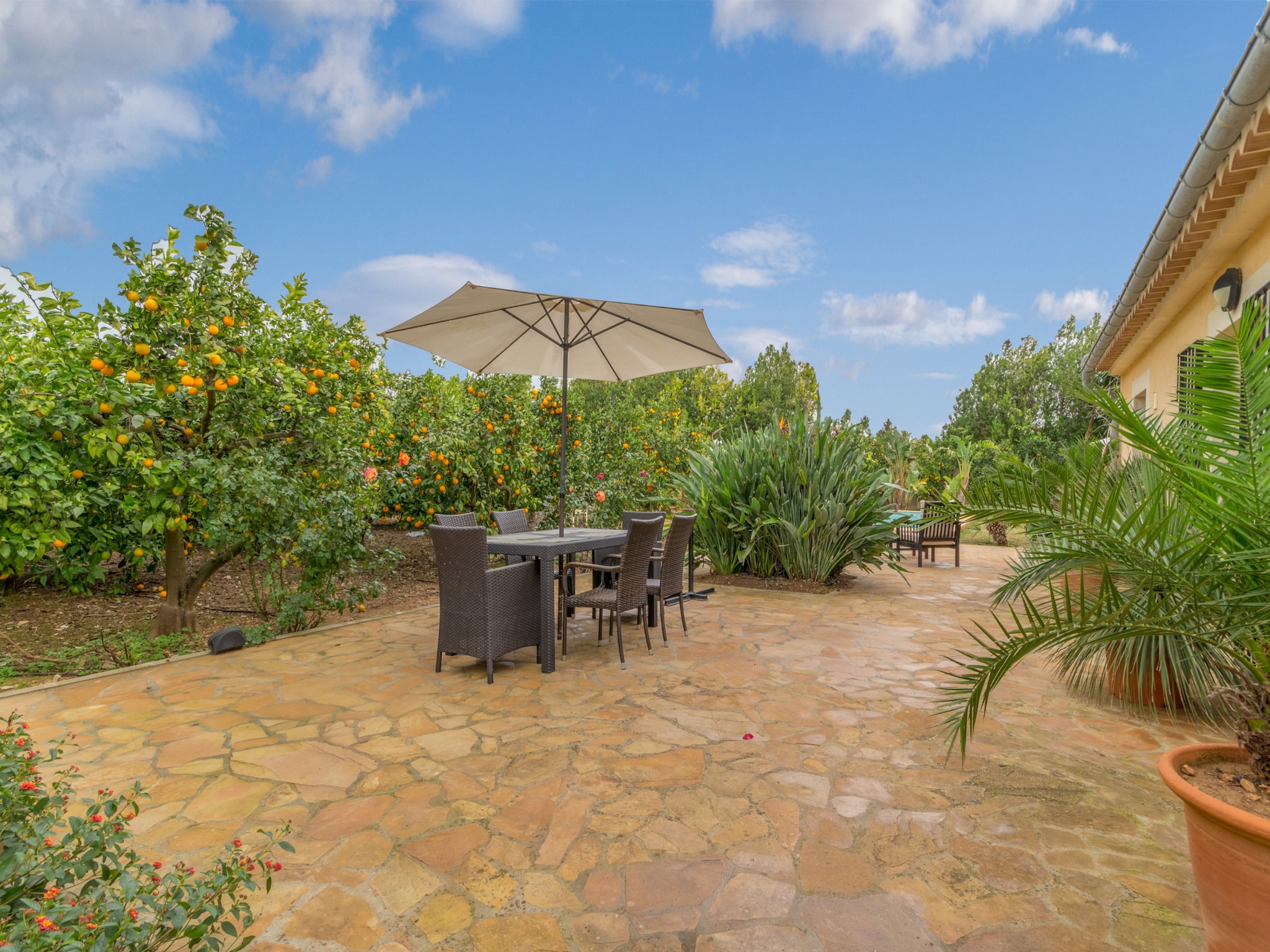   Son Fornes, Finca 5StarsHome Mallorca