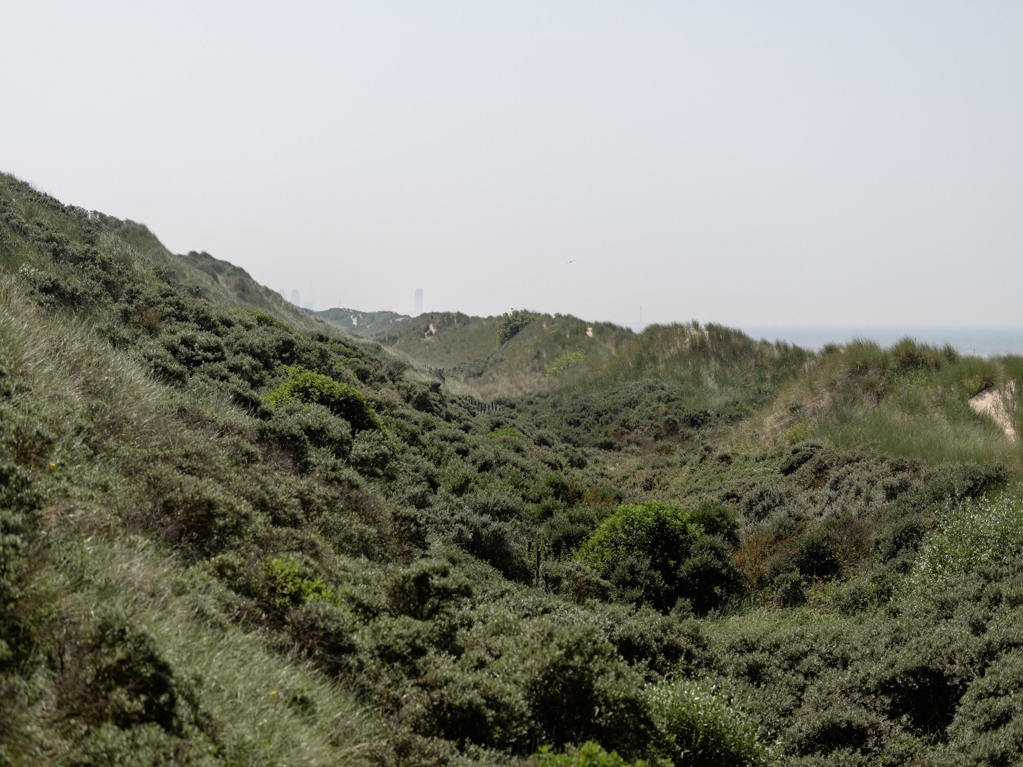 Leilighet Residentie Sun Beach 0501