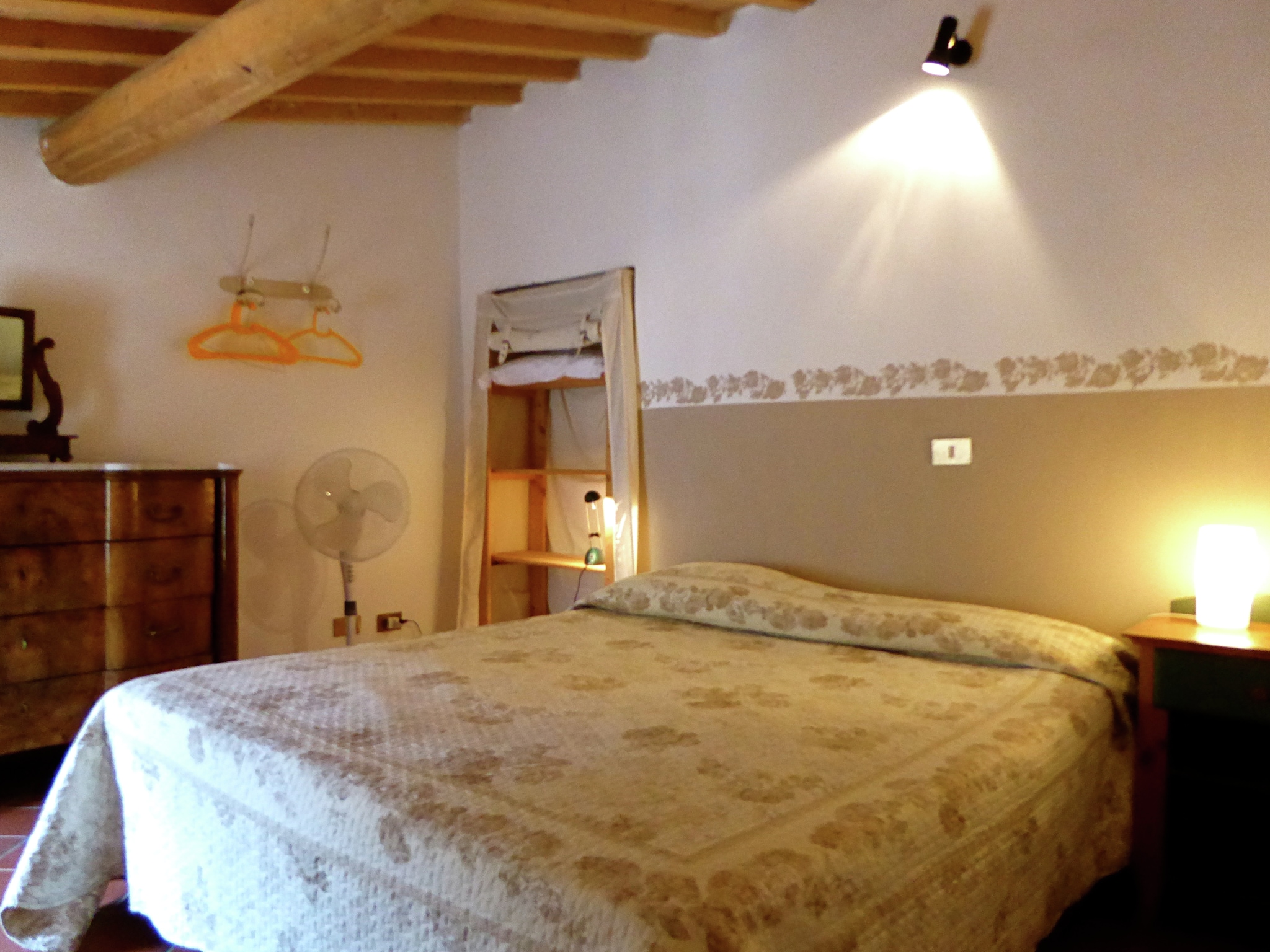   Cardellino