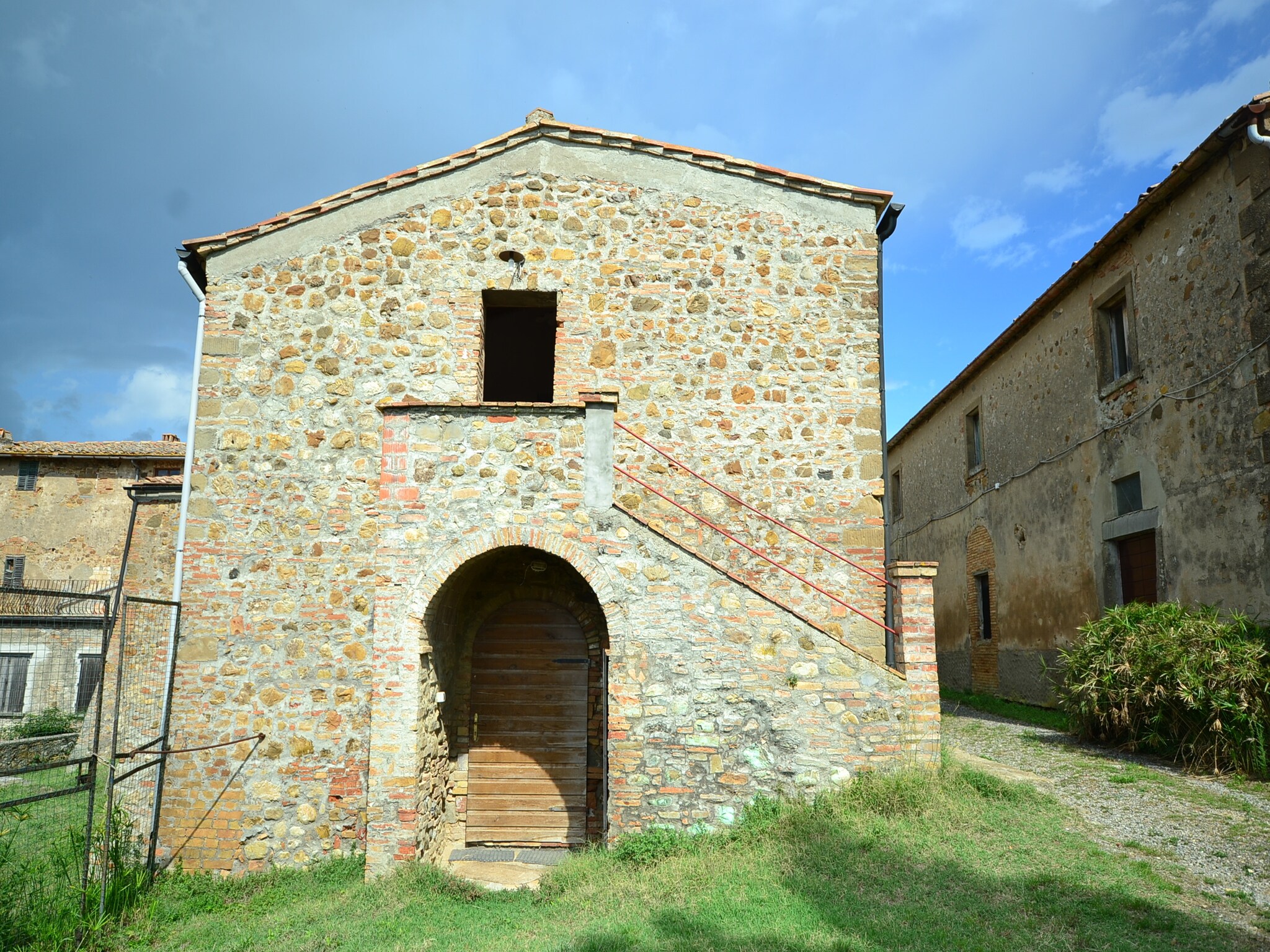   Cardellino