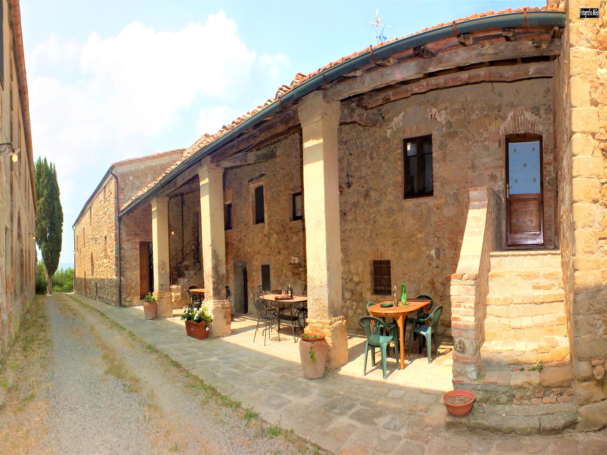   Cardellino