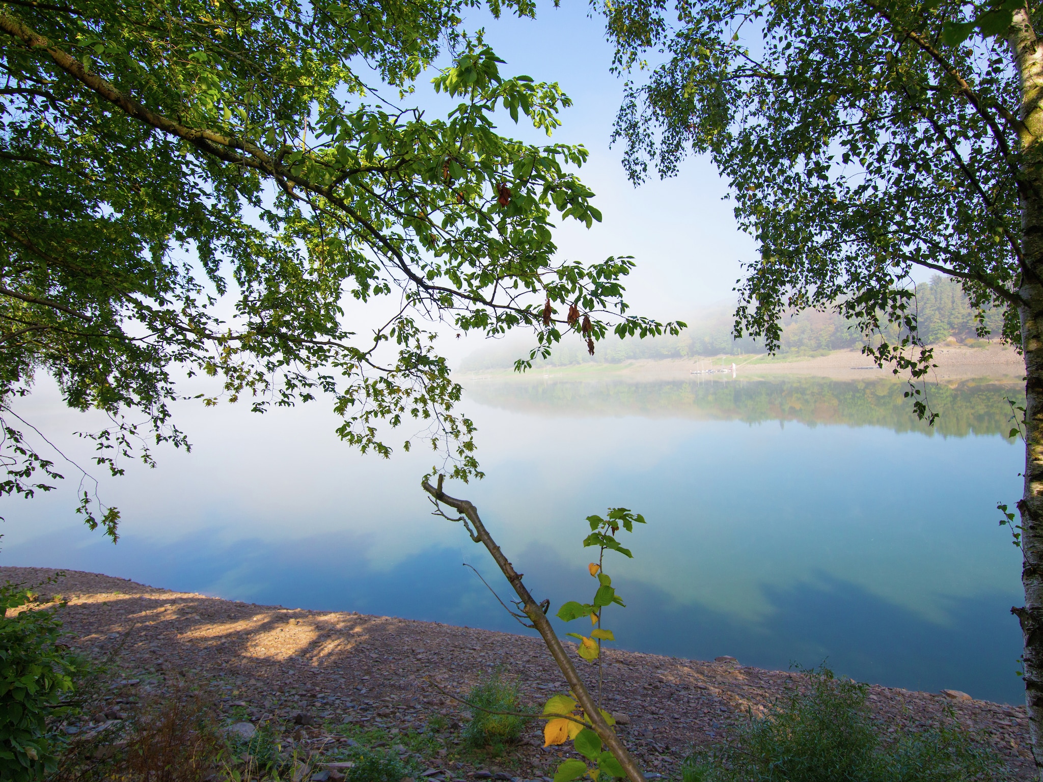   Auf der alten Hofreite