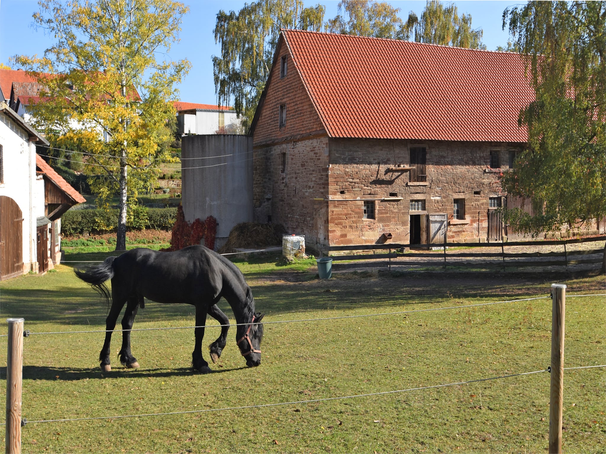   Auf der alten Hofreite