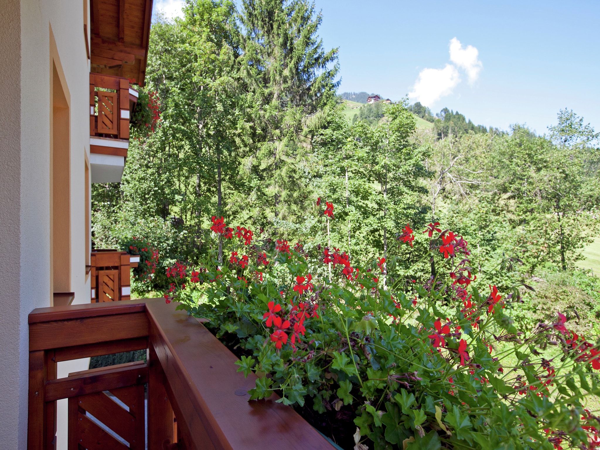 Ferienwohnung Wellness-Aparthotel-Kleinarl