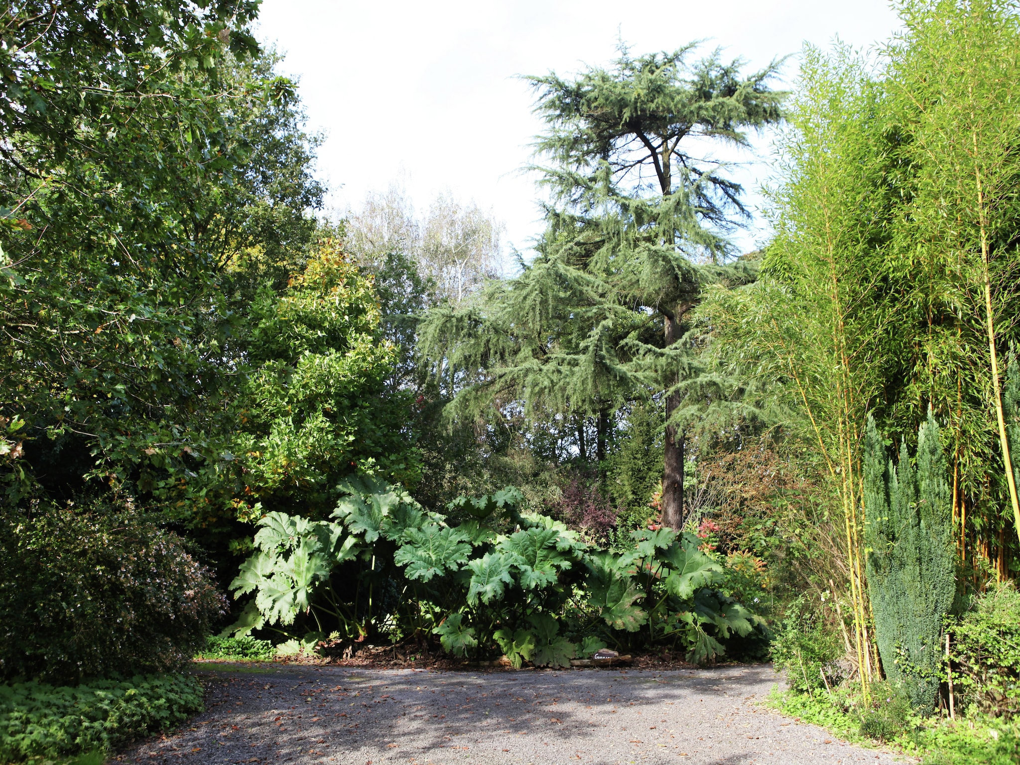 Vakantiehuis Reedpool 22 pax