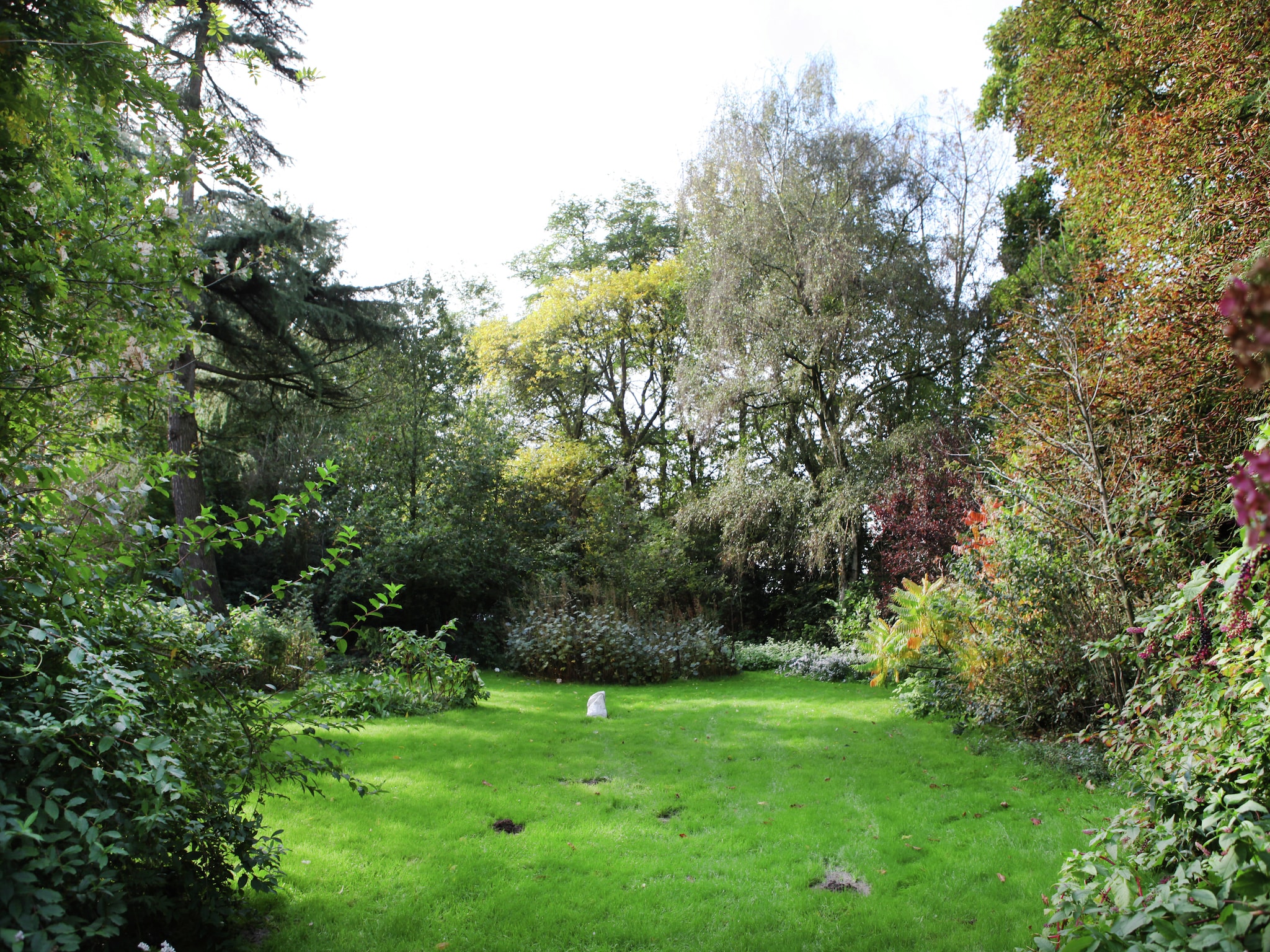 Vakantiehuis Reedpool 22 pax
