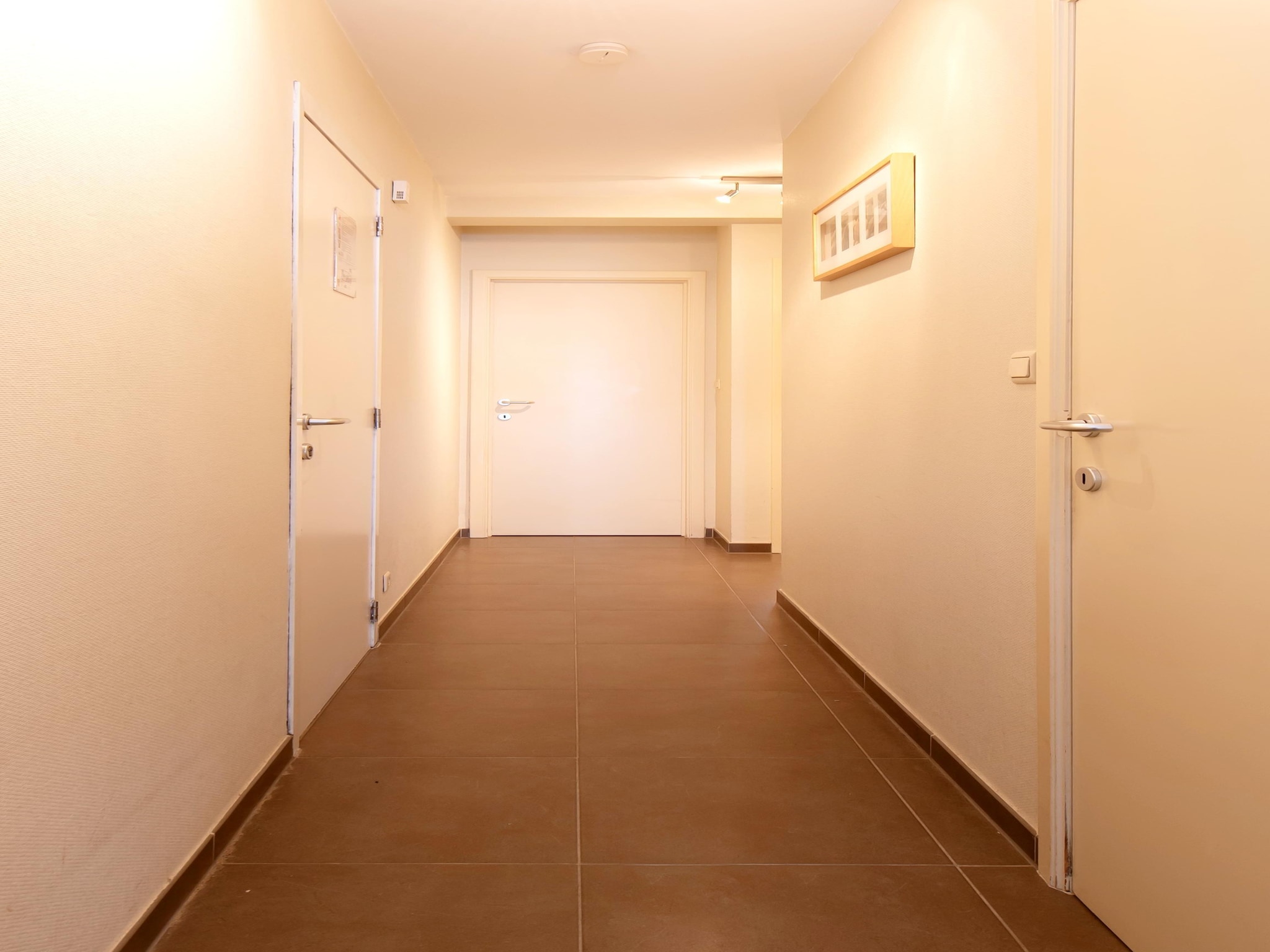 Appartement ZANDBK1 0501/ 5B