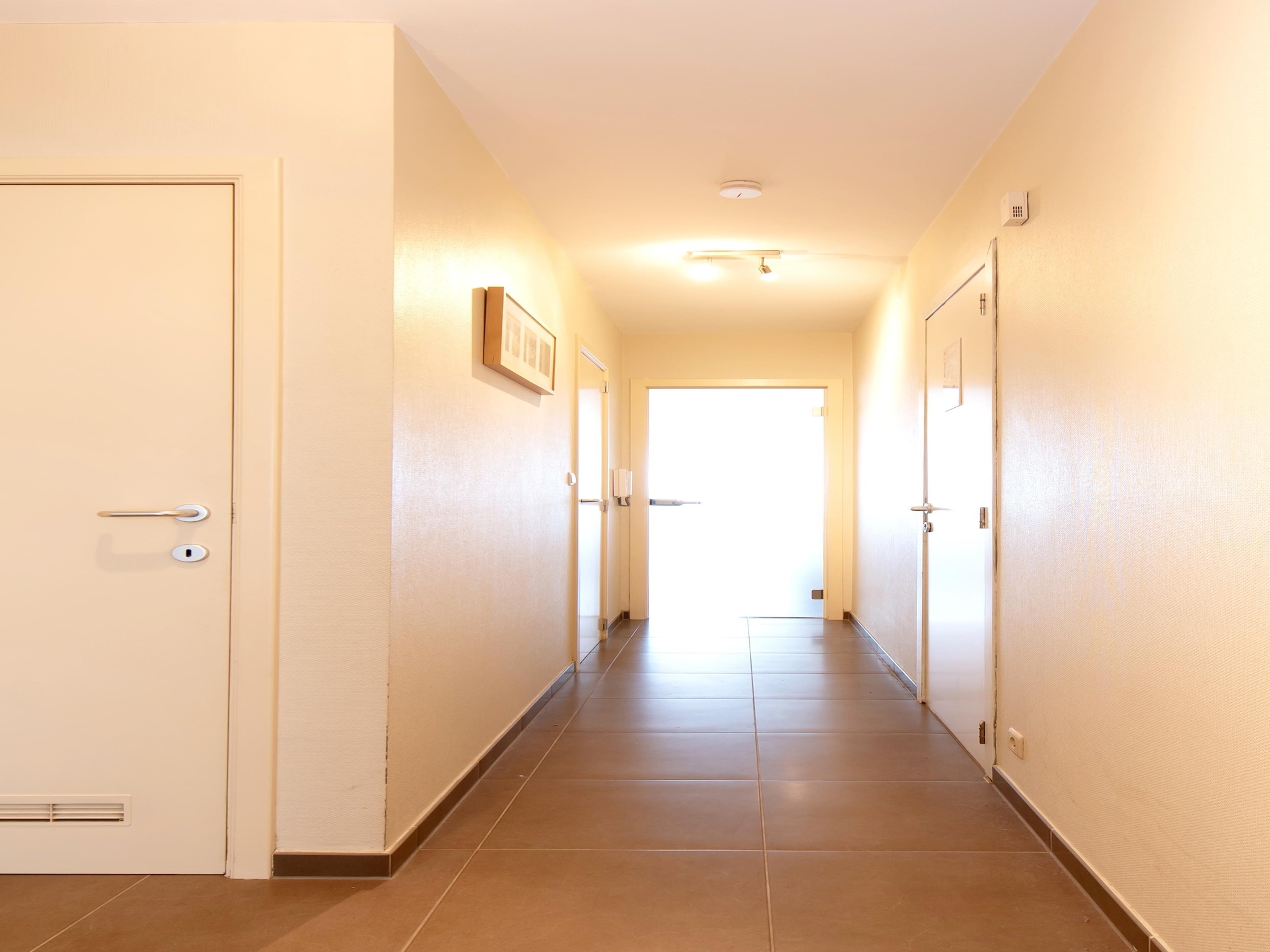 Appartement ZANDBK1 0501/ 5B