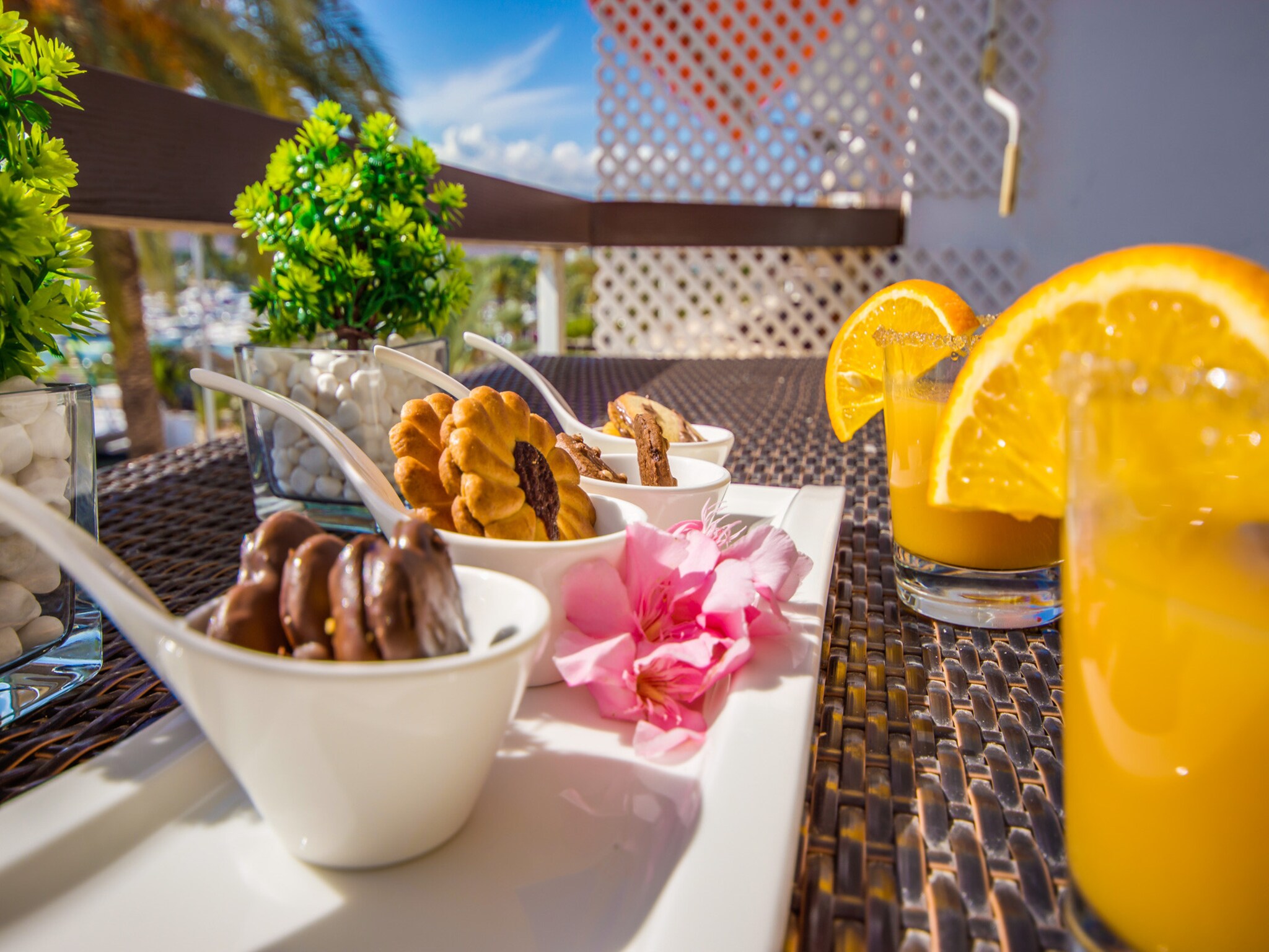 Ferienwohnung Blue Palm Beach