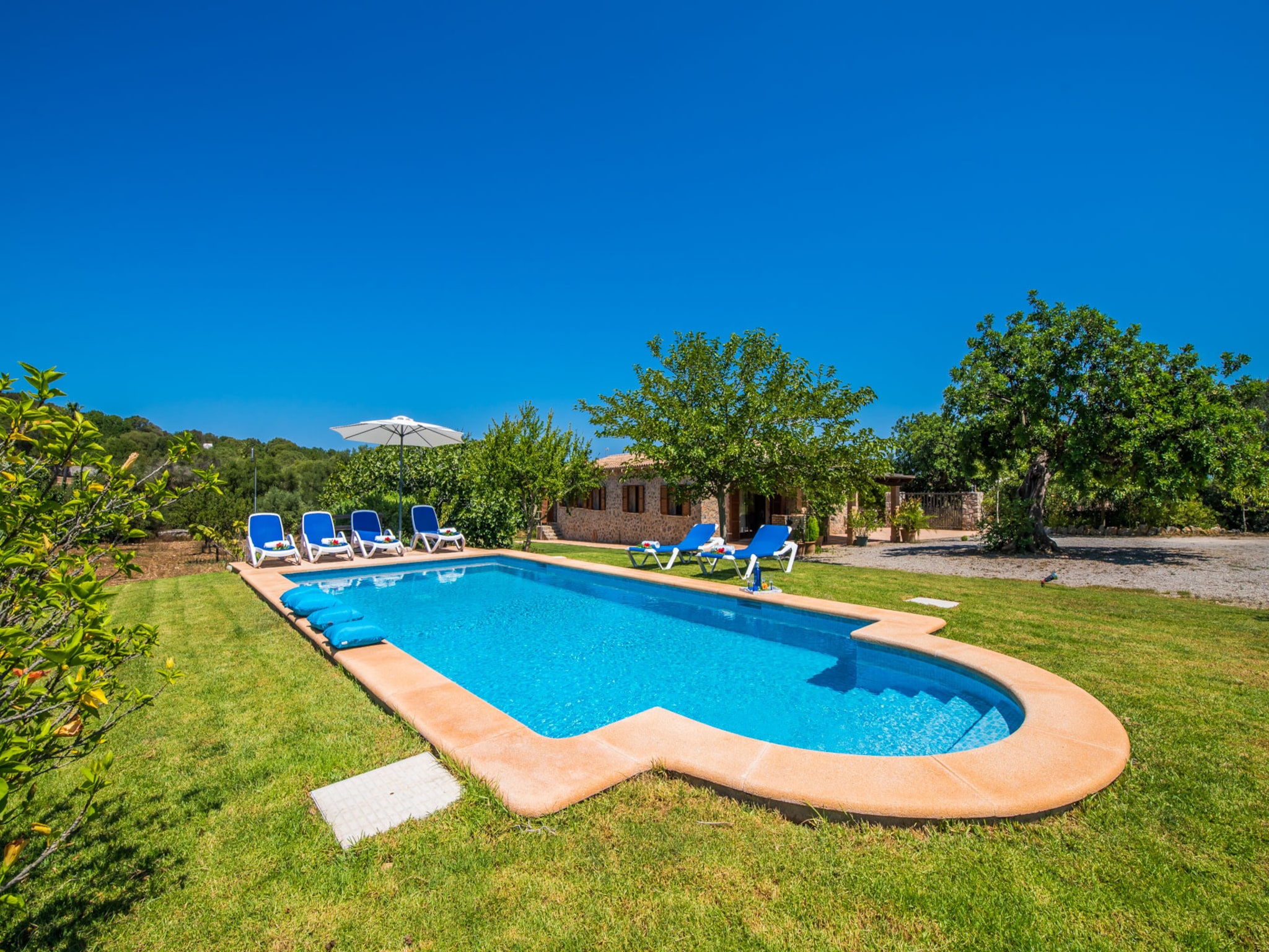   Finca Mamici