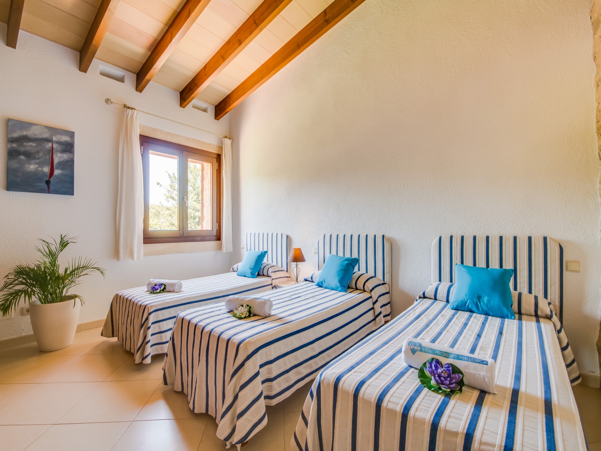   Finca Mamici