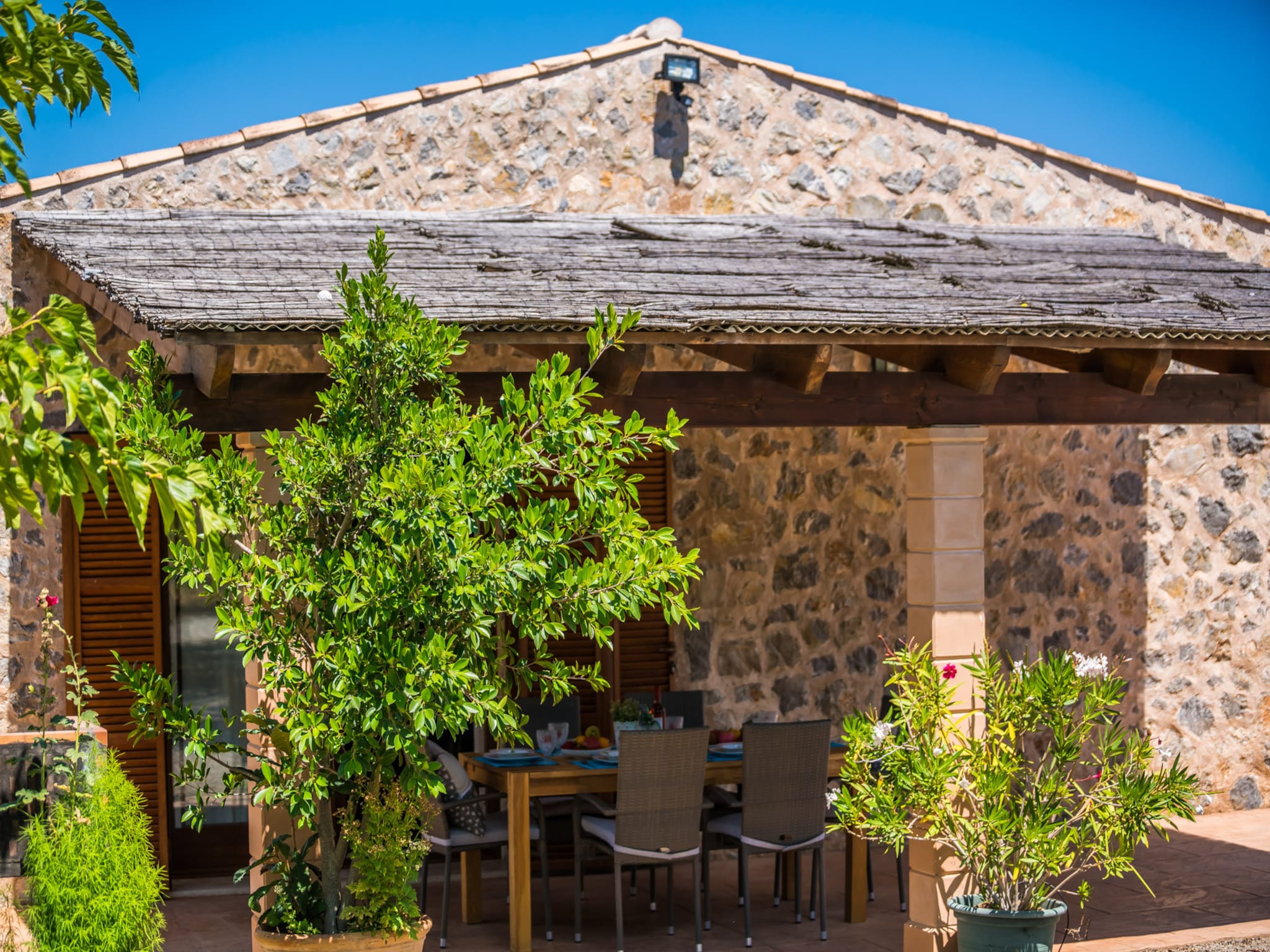   Finca Mamici