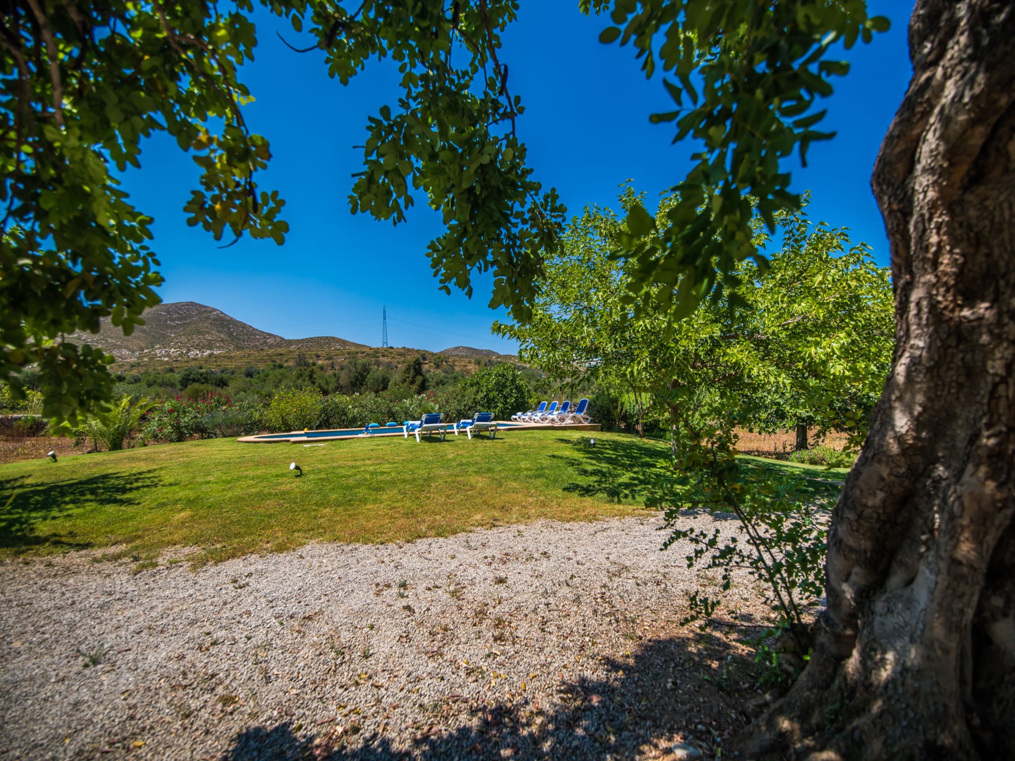   Finca Mamici