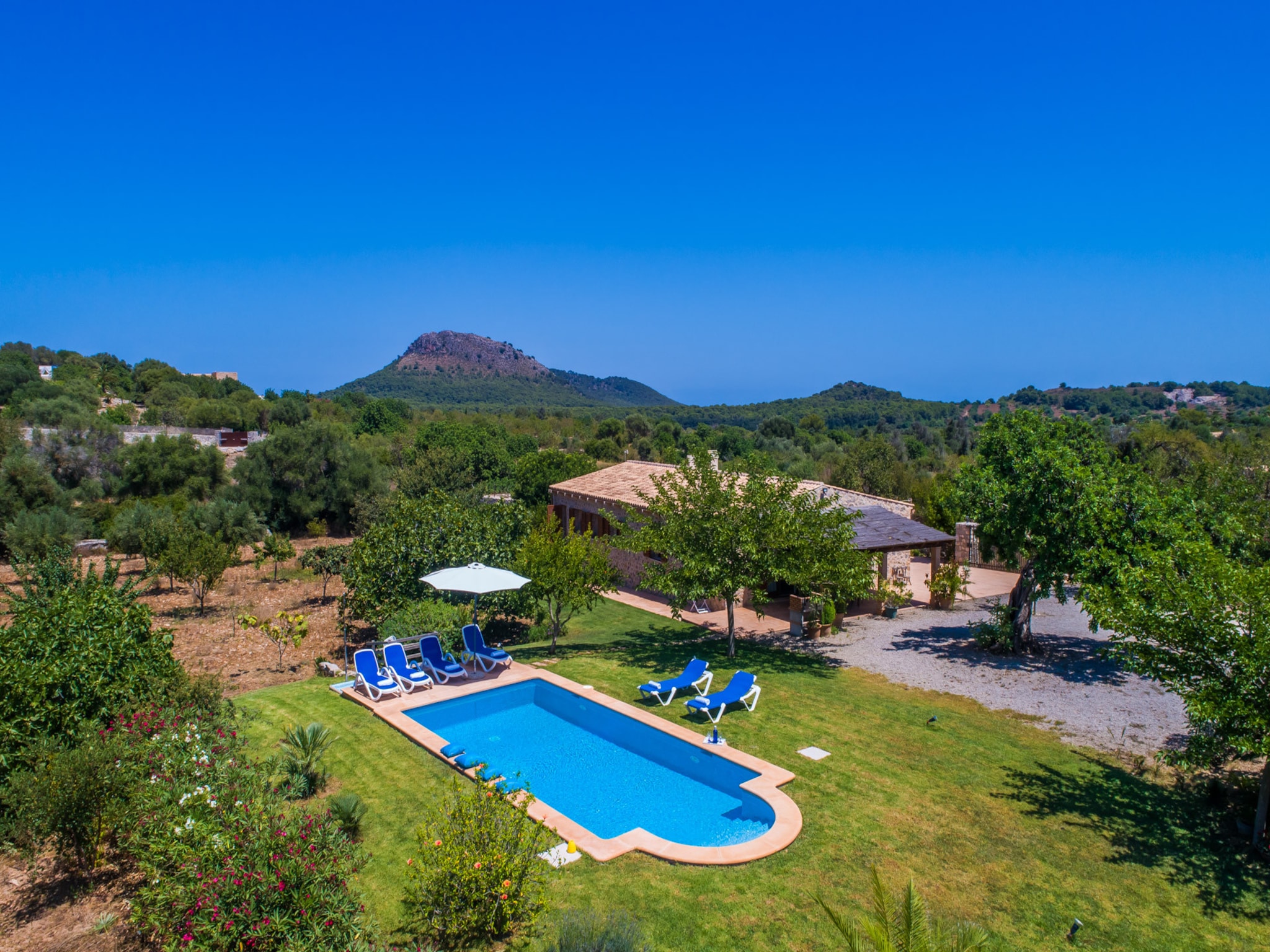   Finca Mamici