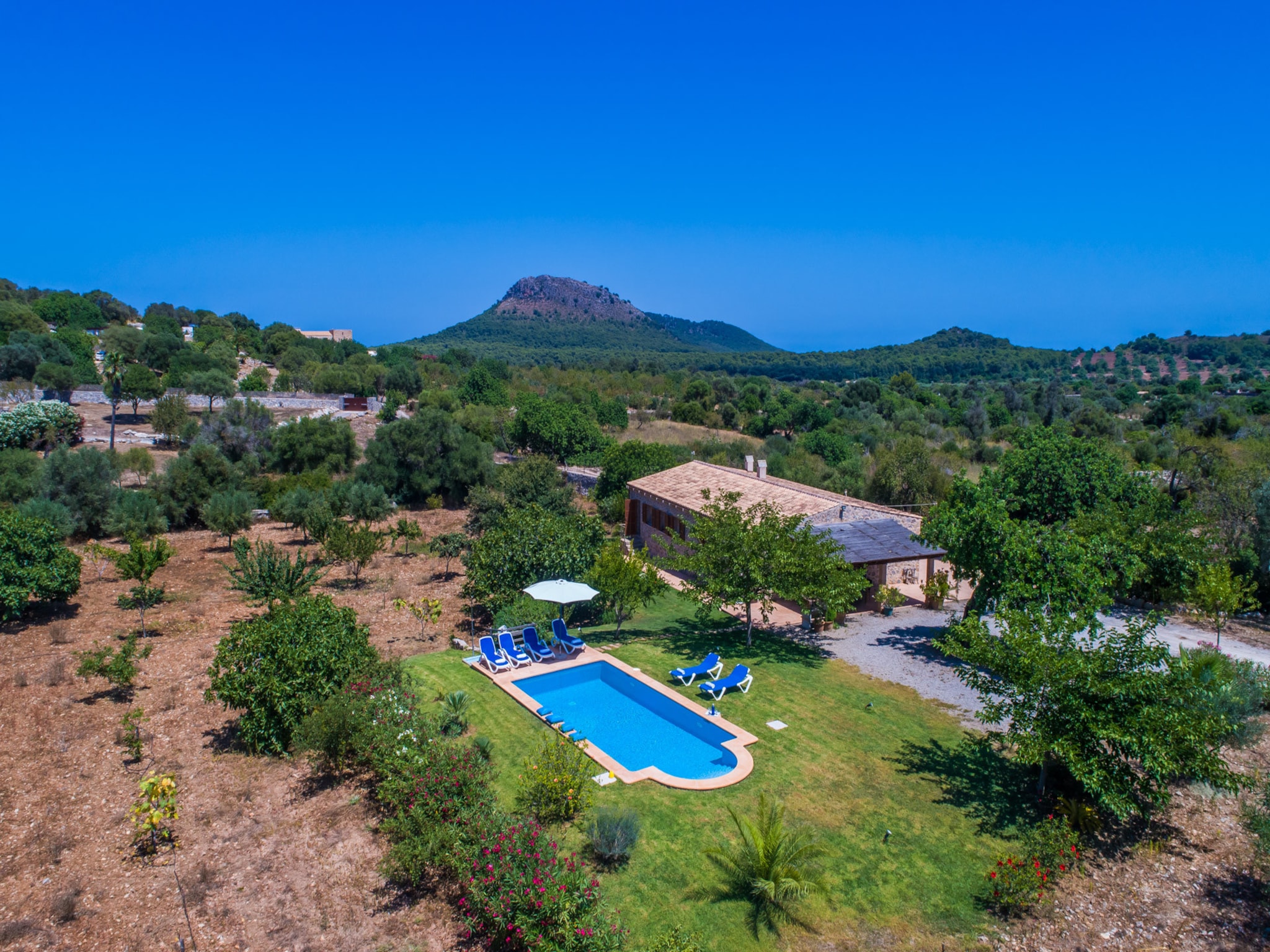   Finca Mamici