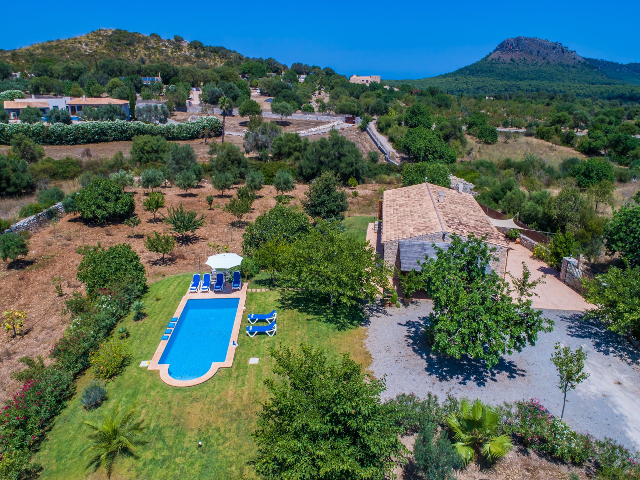   Finca Mamici